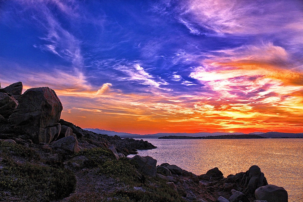 Esplosione di colori...