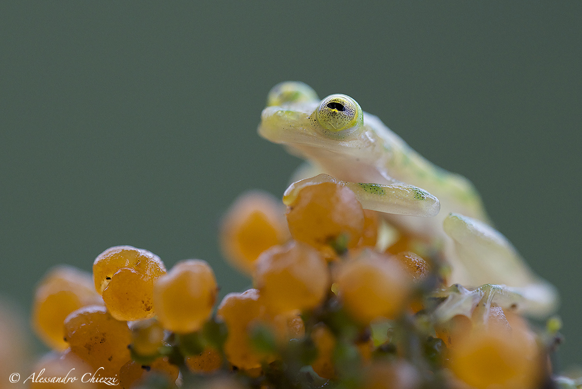 A world of glass .....