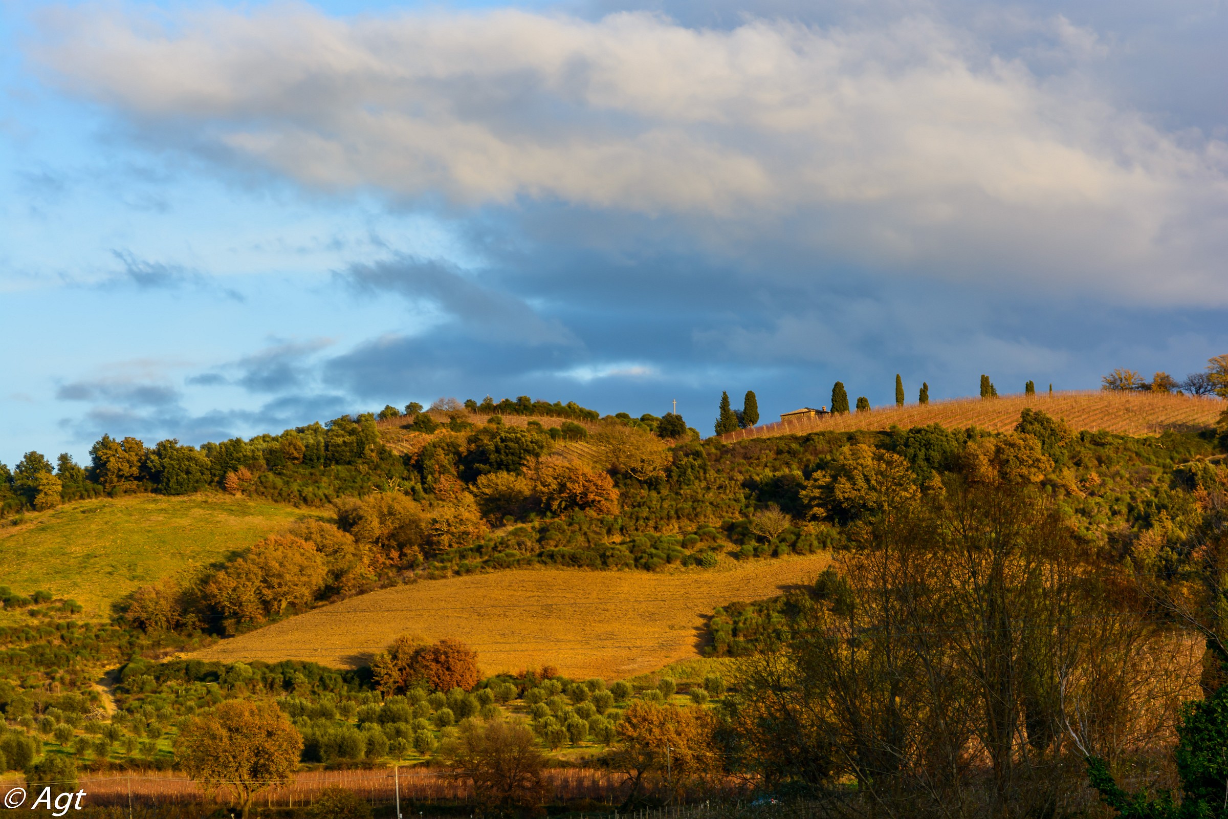 Hills of Brunello