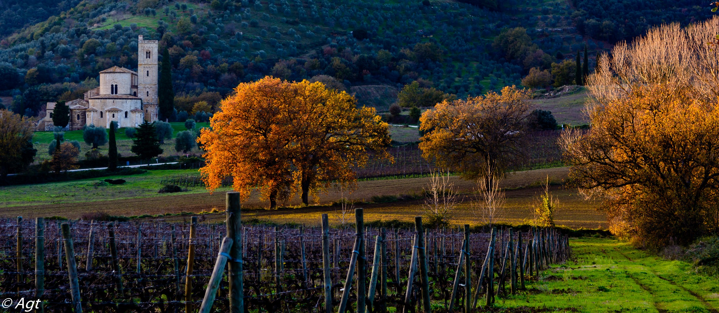 Sant'Antimo and its valley 1
