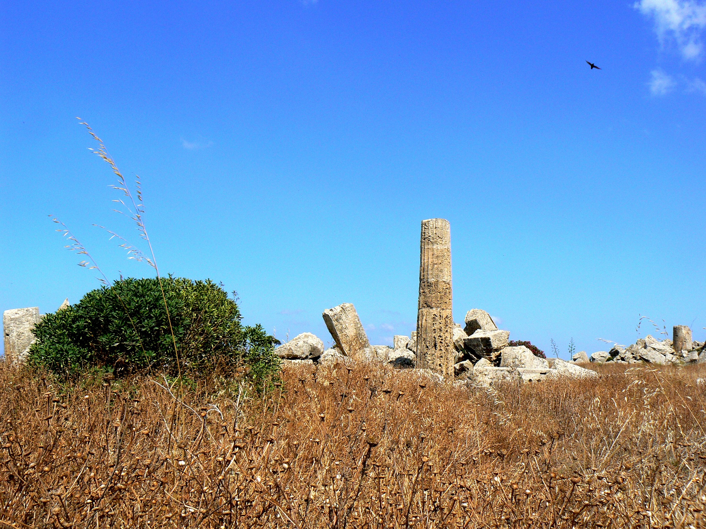 Ultimo venne il corvo
