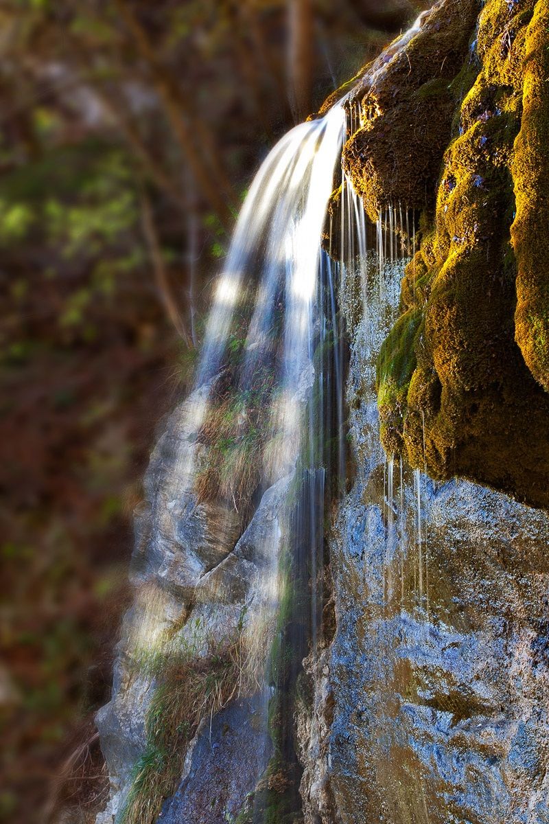 ricordi di un tempo passato