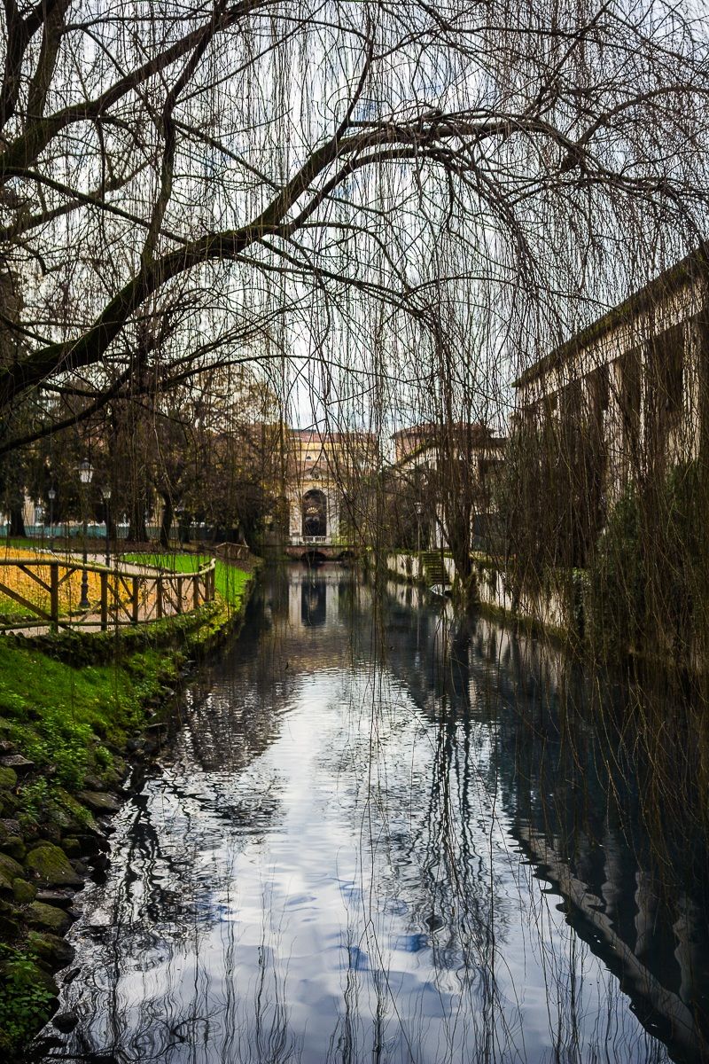 Salice piangente sulla roggia