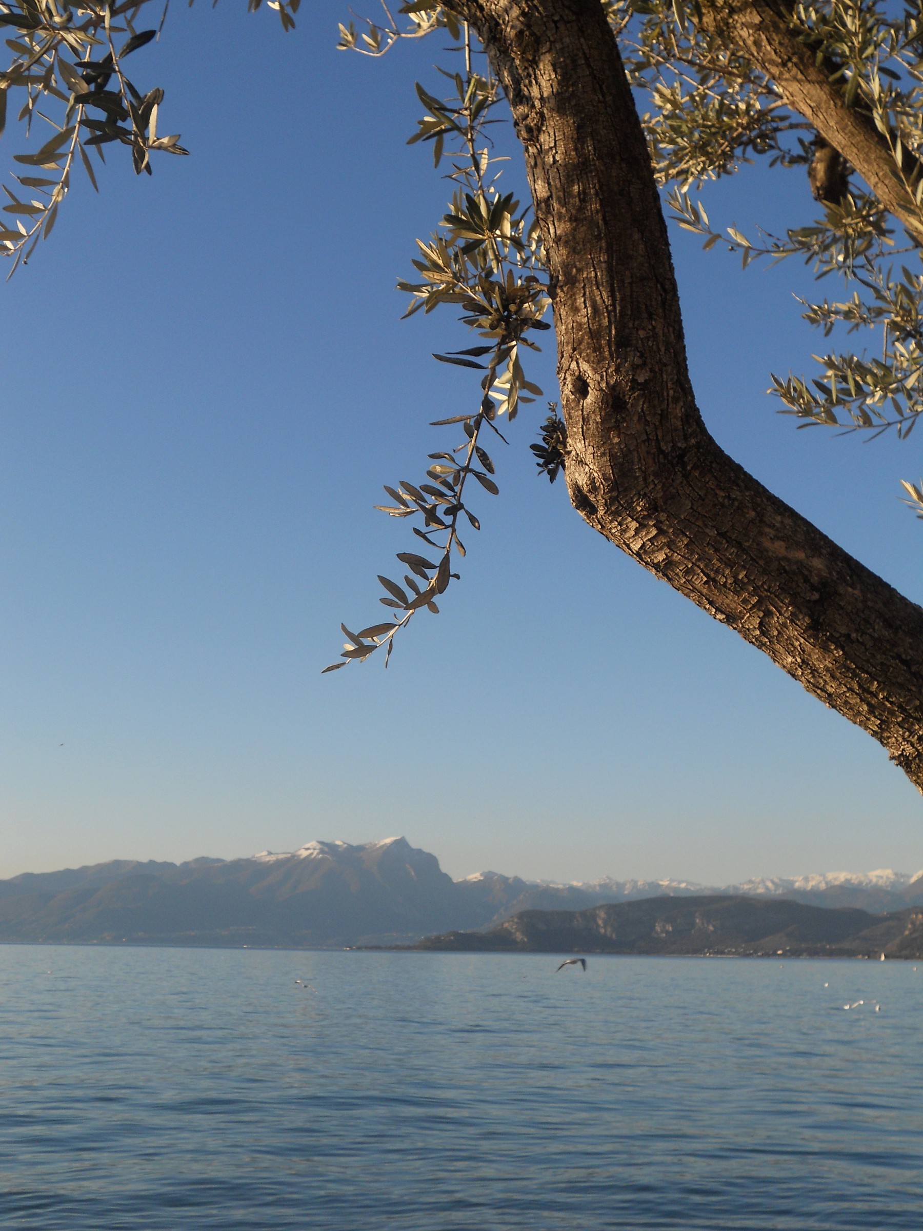 Lake Garda
