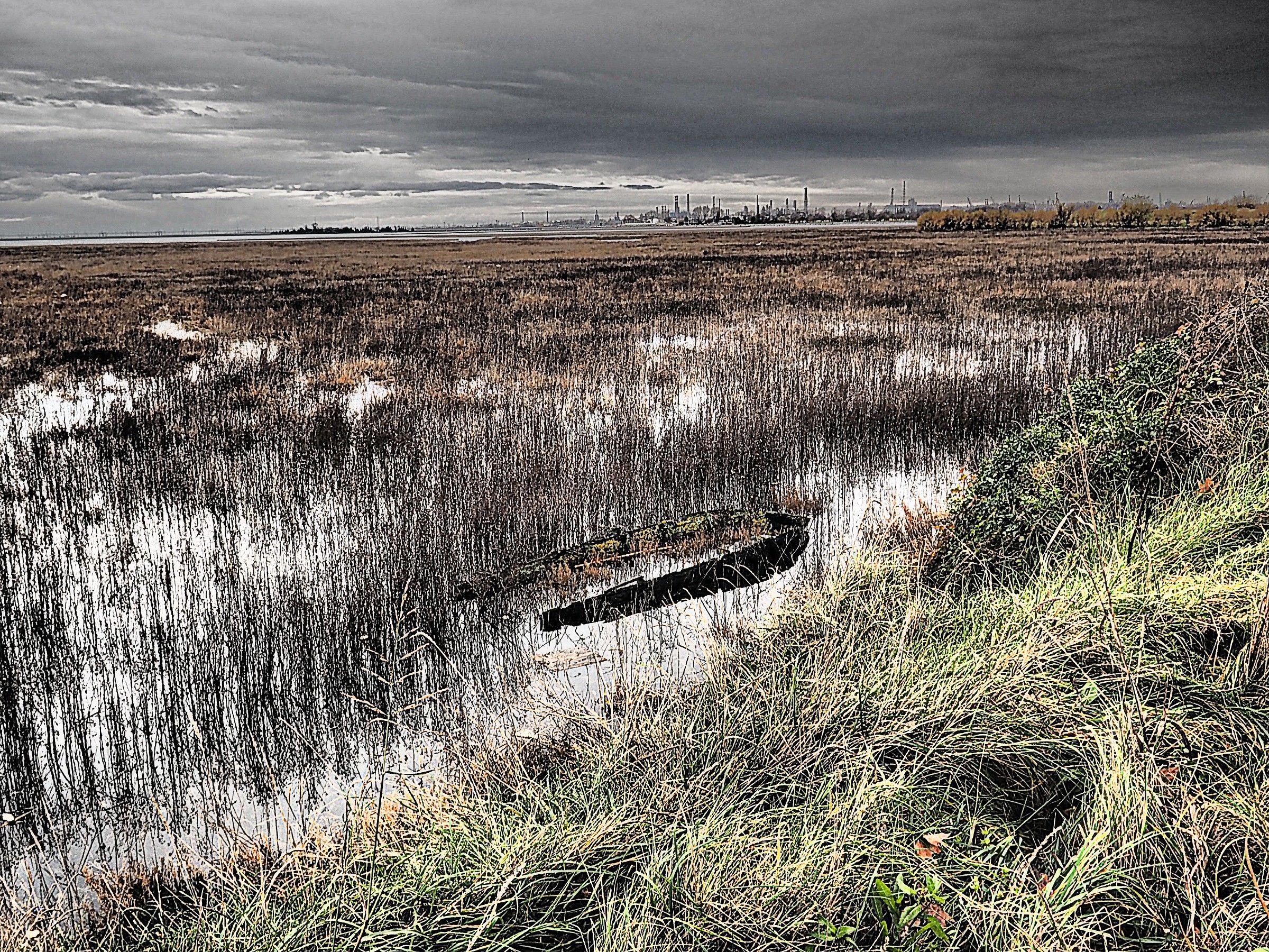 barena a Campalto (ve)