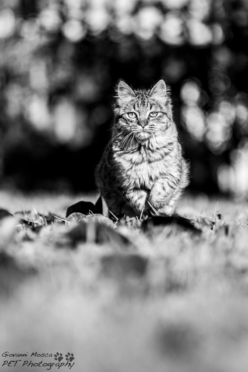 Hunting is a serious matter