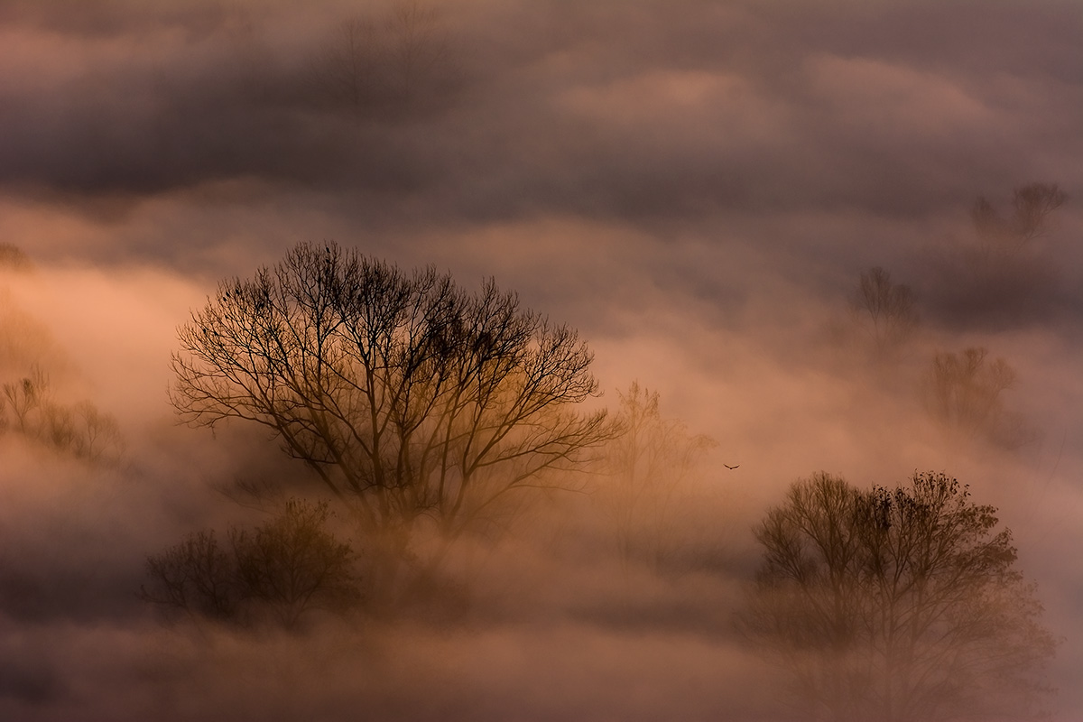 Not everyone is asleep