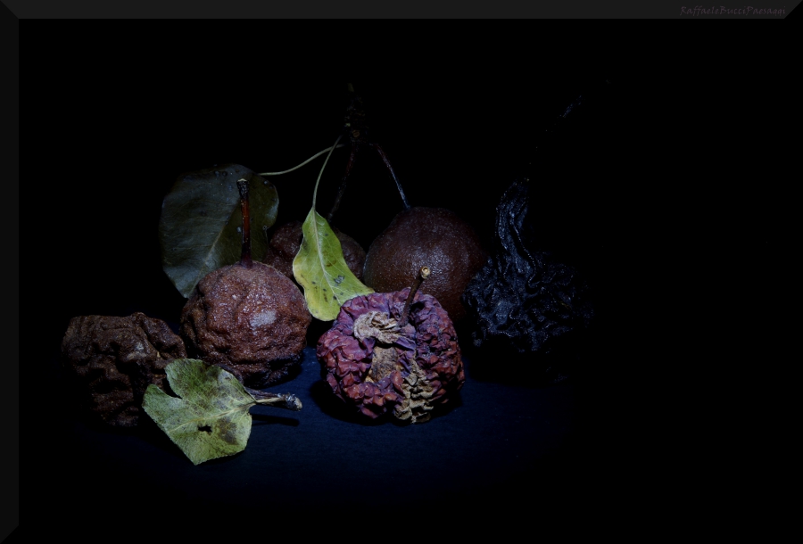 Nature ... Still Life 2