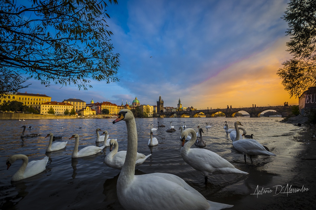 Praga al tramonto sul fiume Moldava e il Ponte Carlo