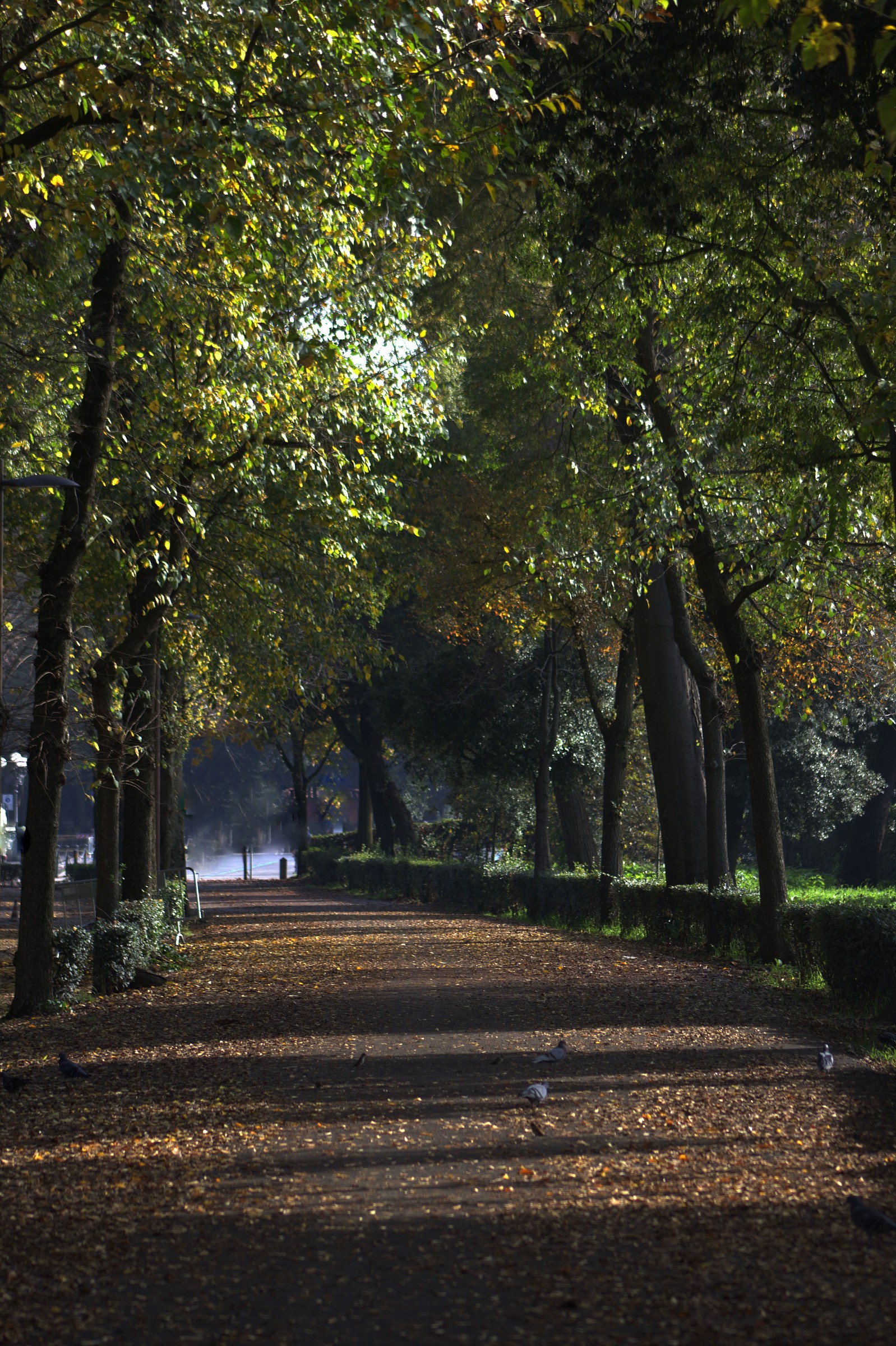 Cascine Firenze