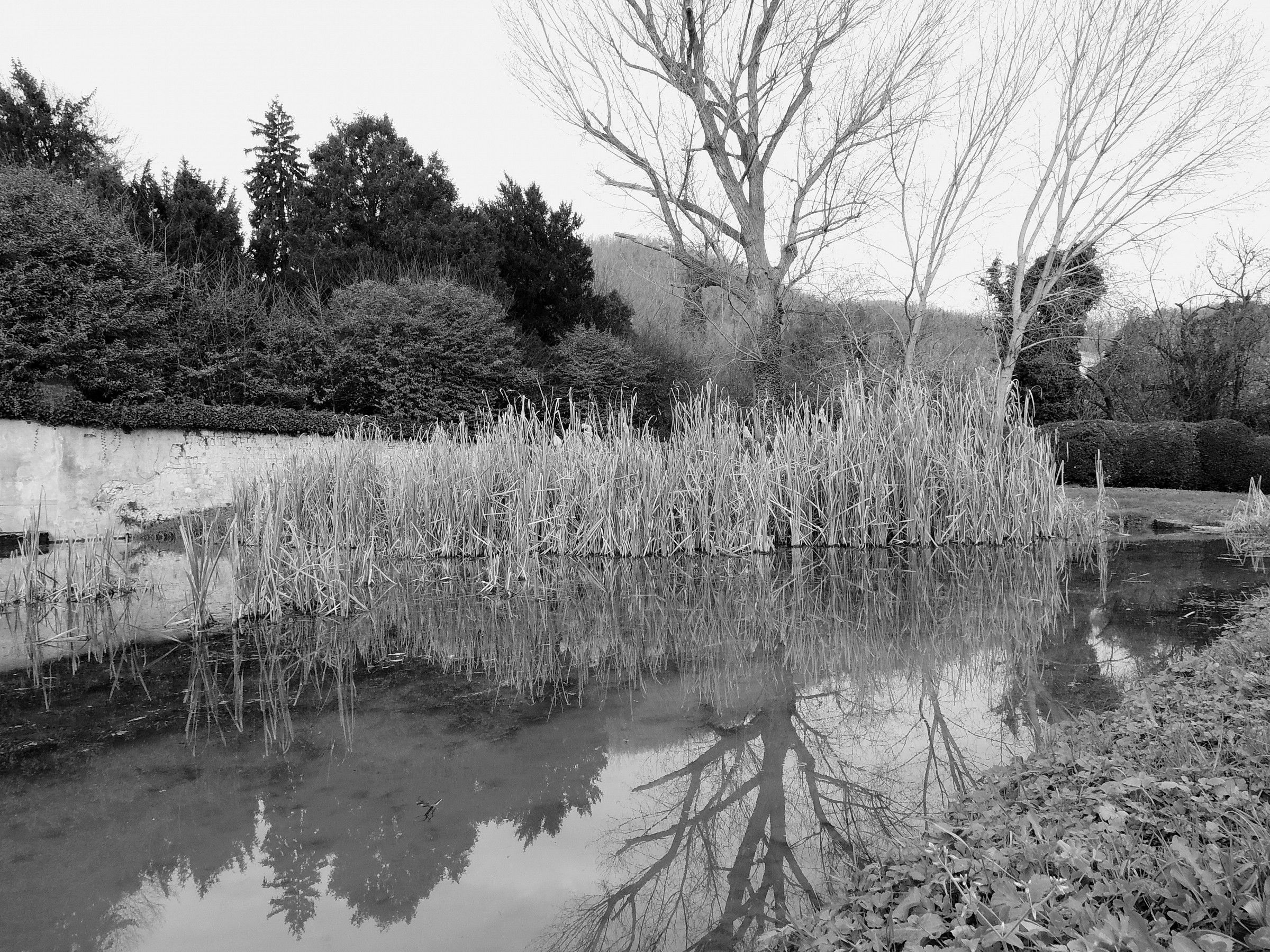 Giardini di Valsanzibio (pd)