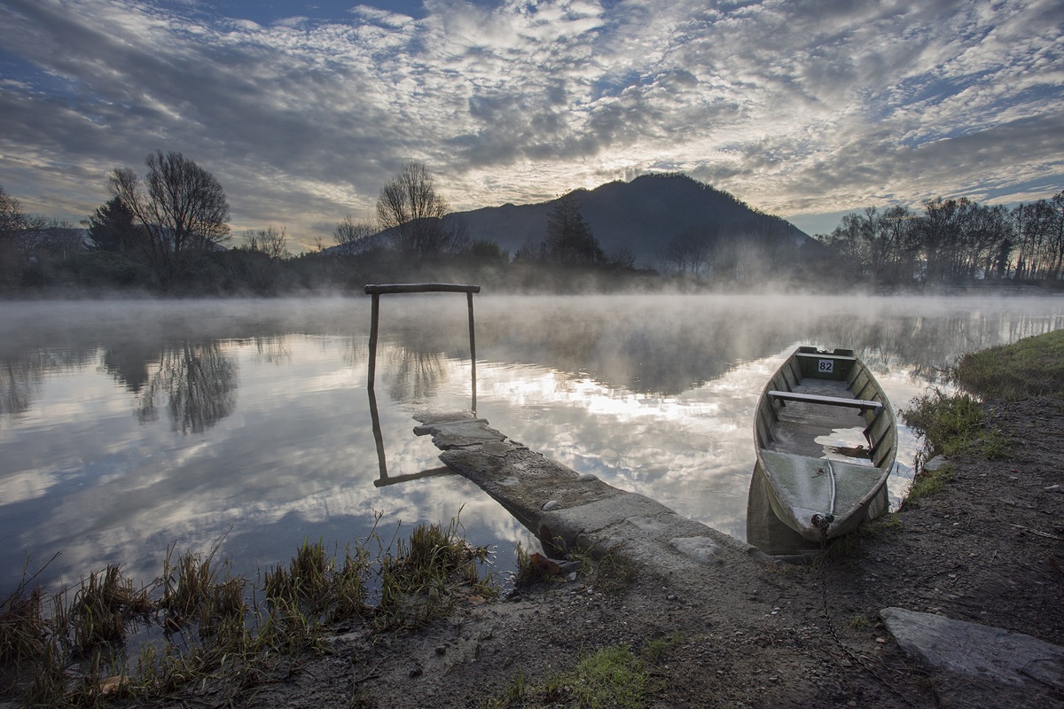 The Morning Beauty door ...