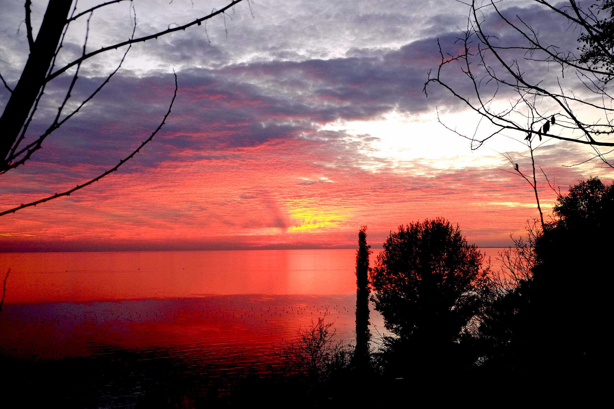 Trieste. Fire and sea