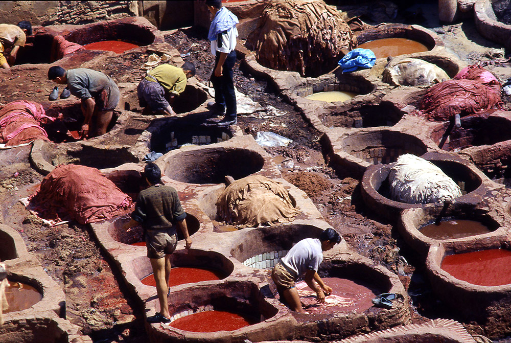 Fez - The tanneries