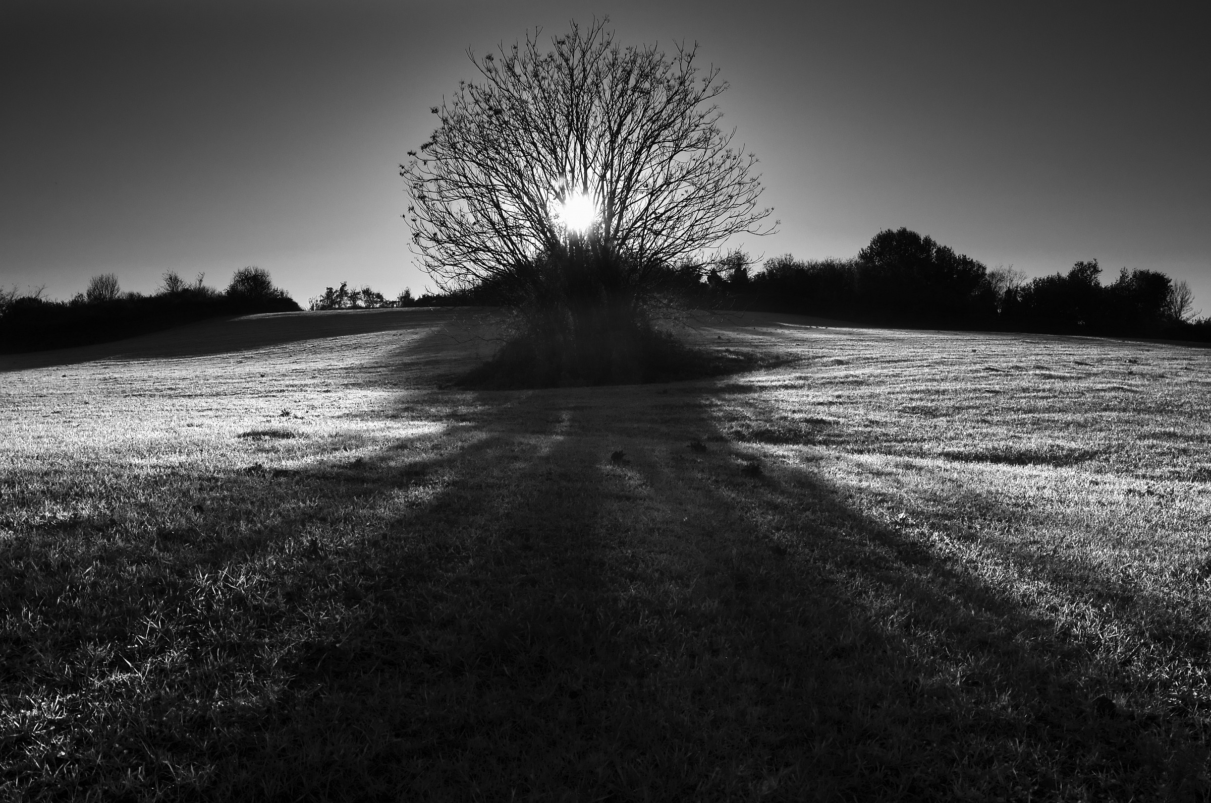 controluce autunnale