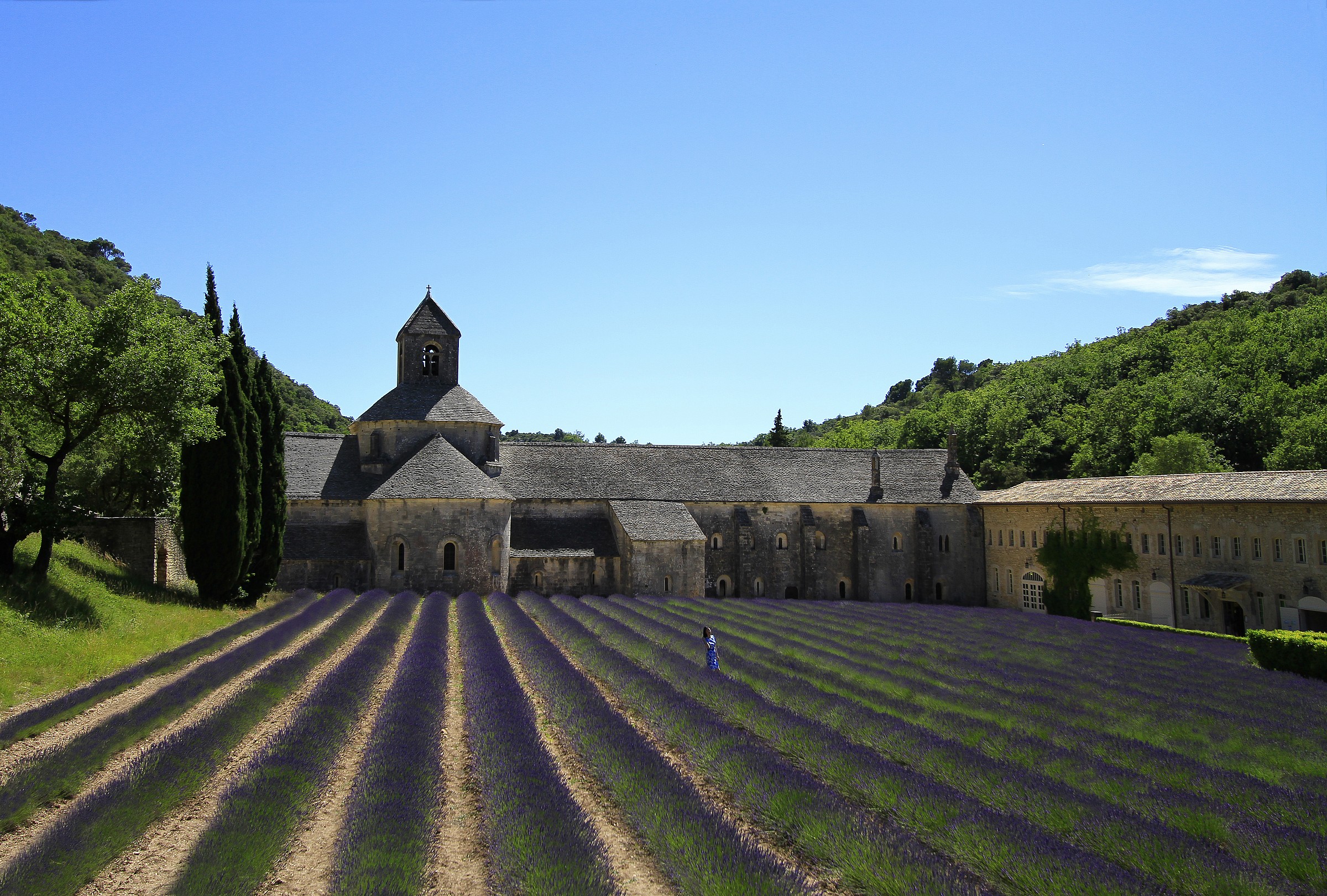Abbazia di Senanque