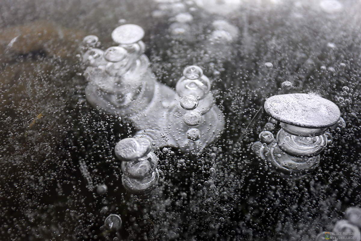 Bubbles in the frozen lake