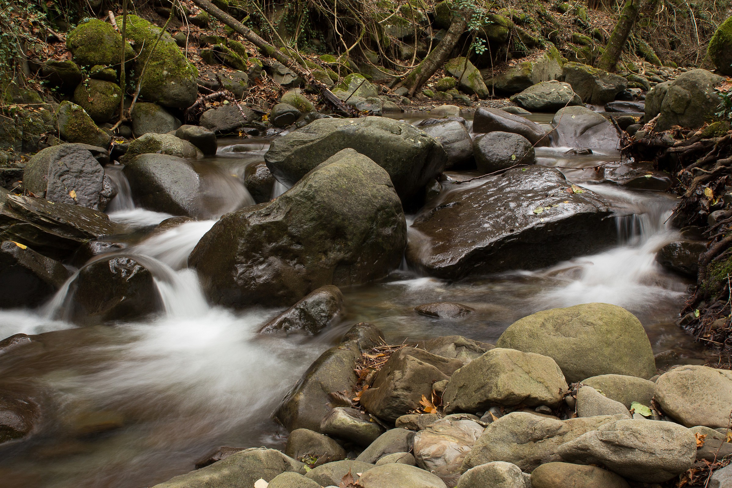 The stream of autumn