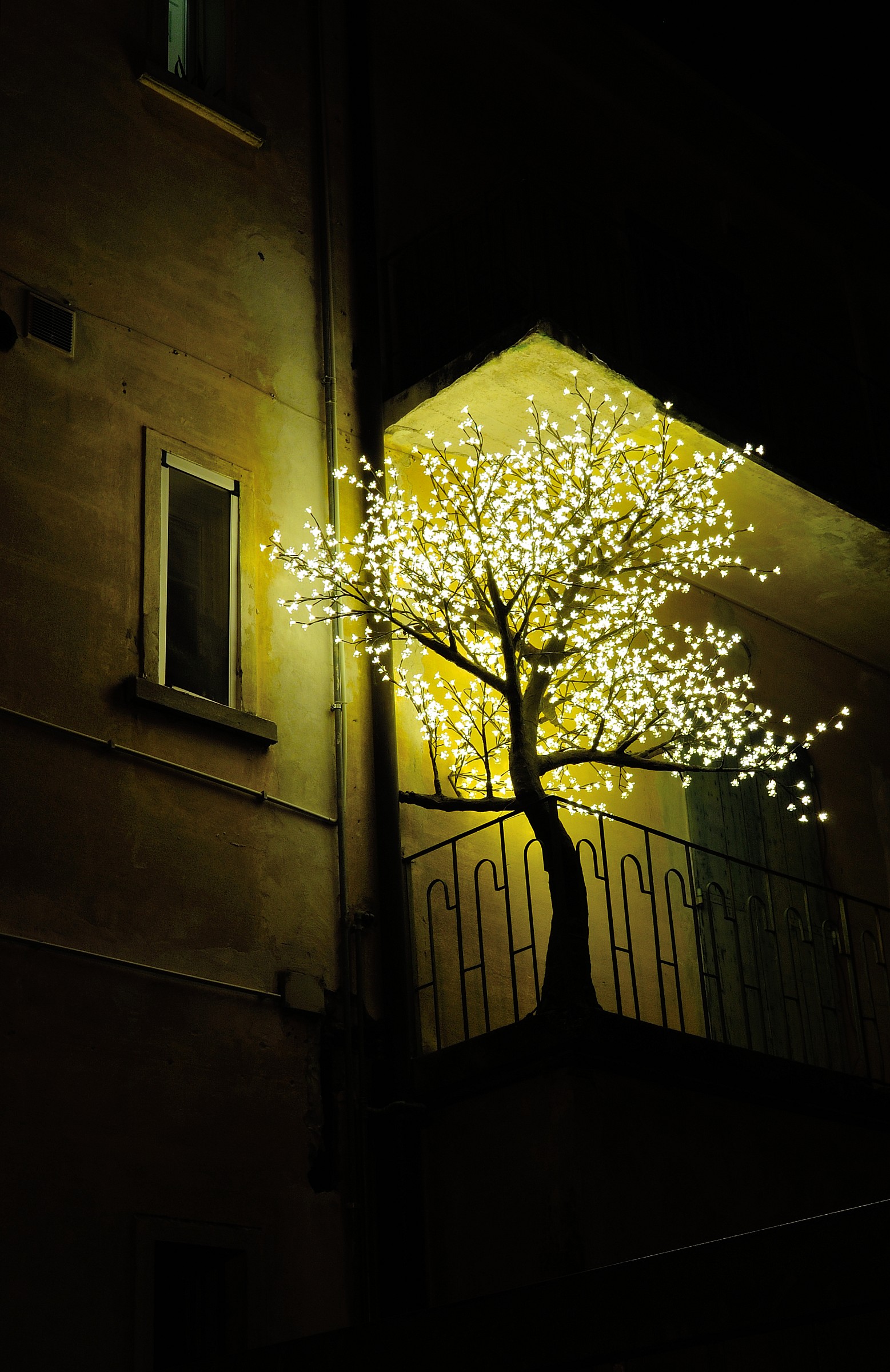 Christmas in the city ....