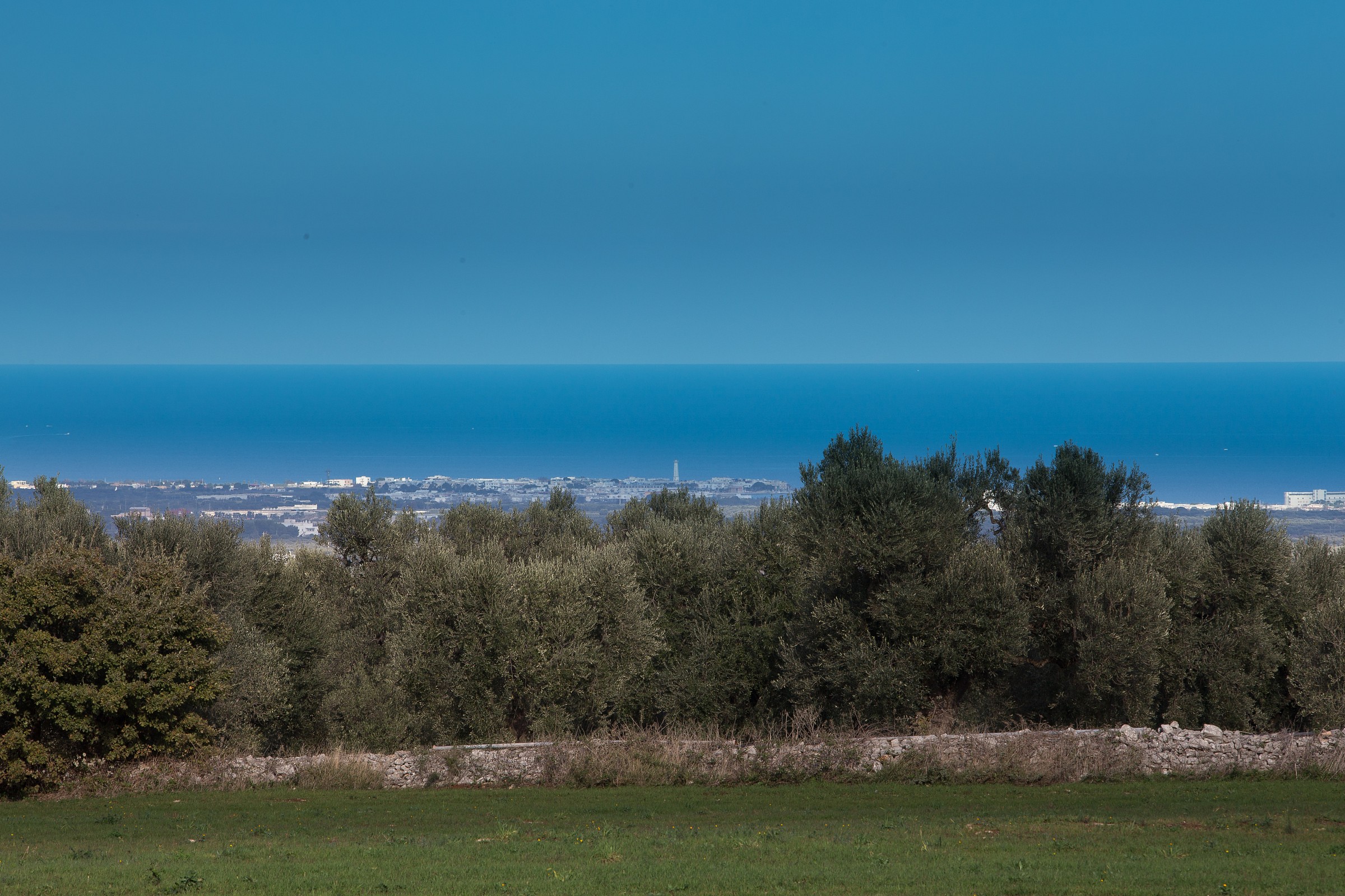 sea ??sky olive earth