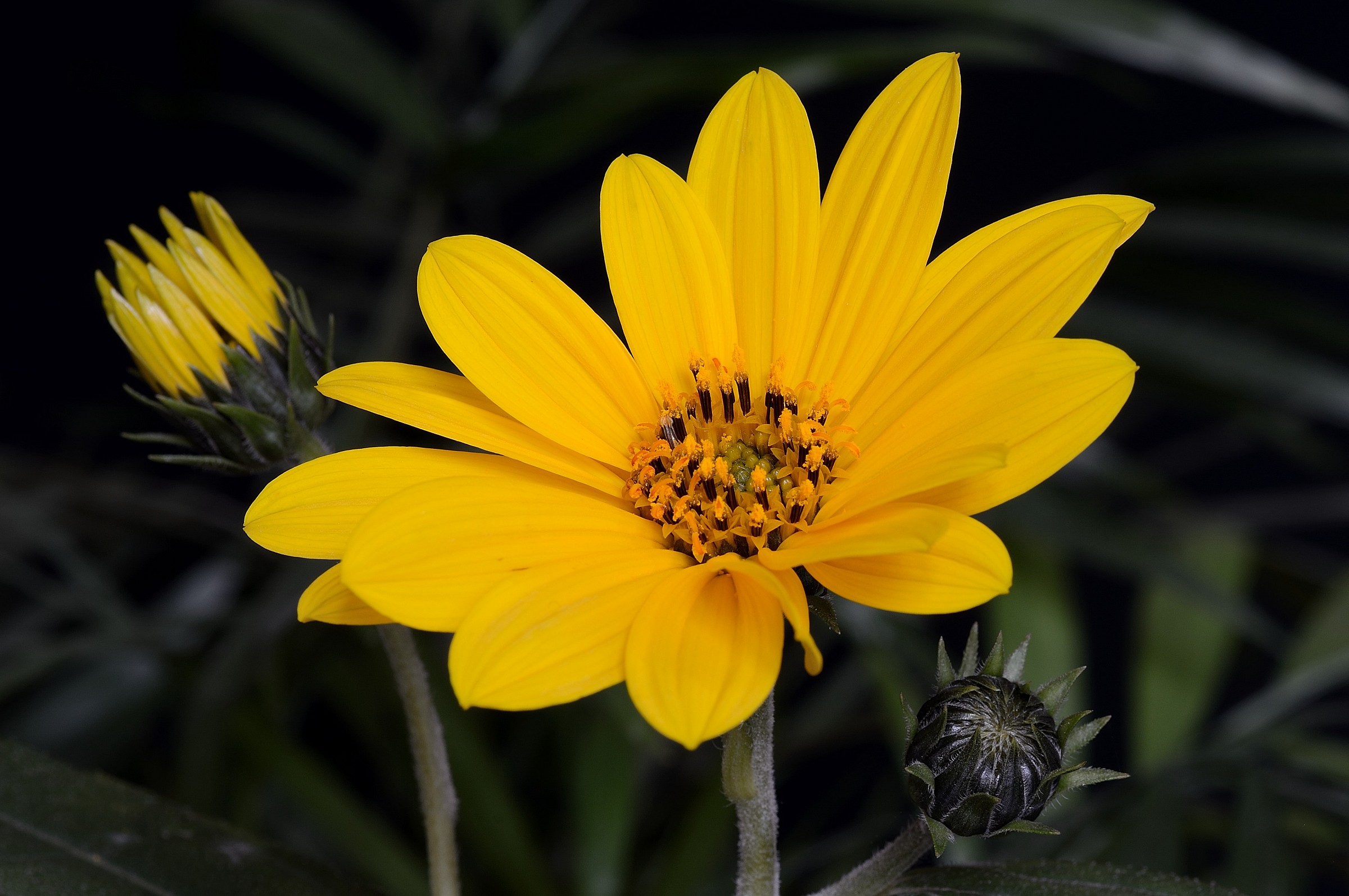 Yesterday, today and tomorrow