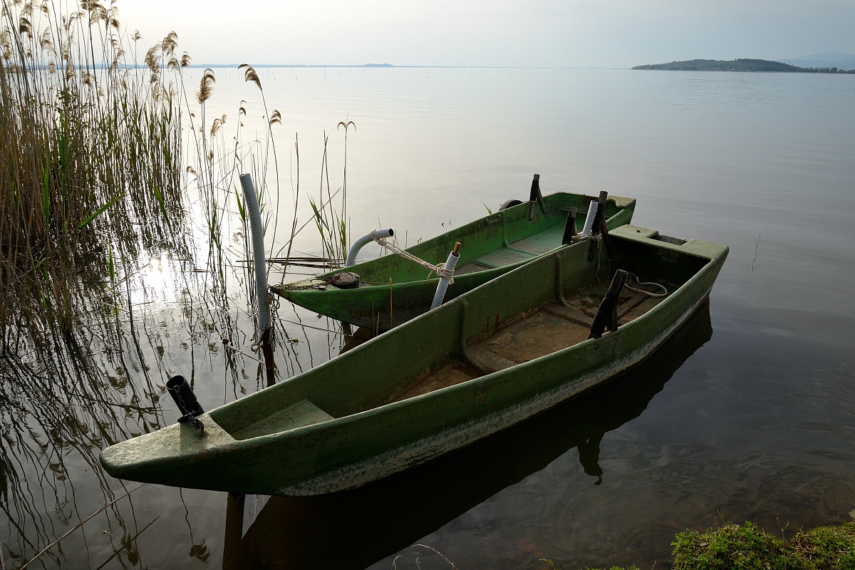 Lake Trasimeno
