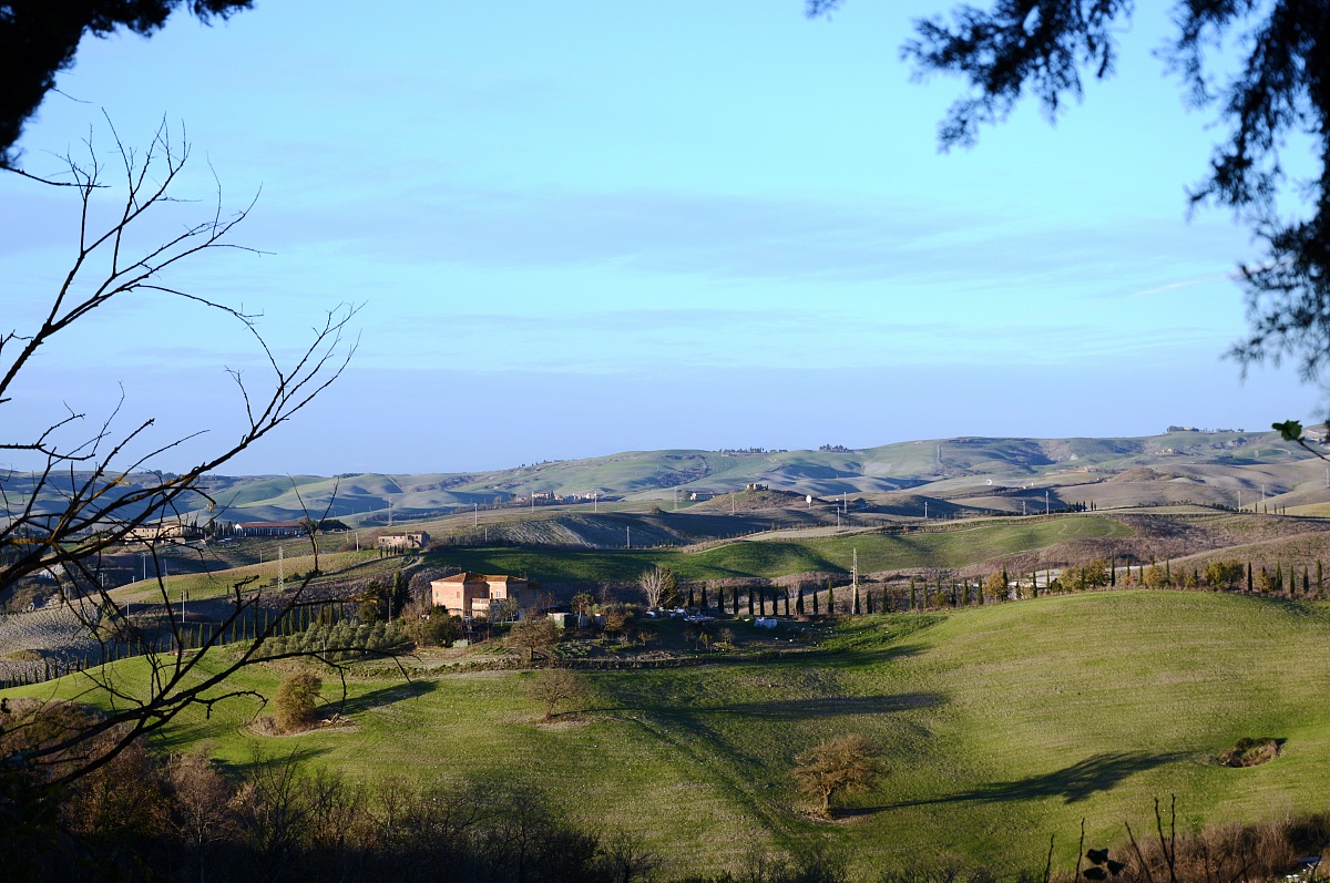 Colline toscane