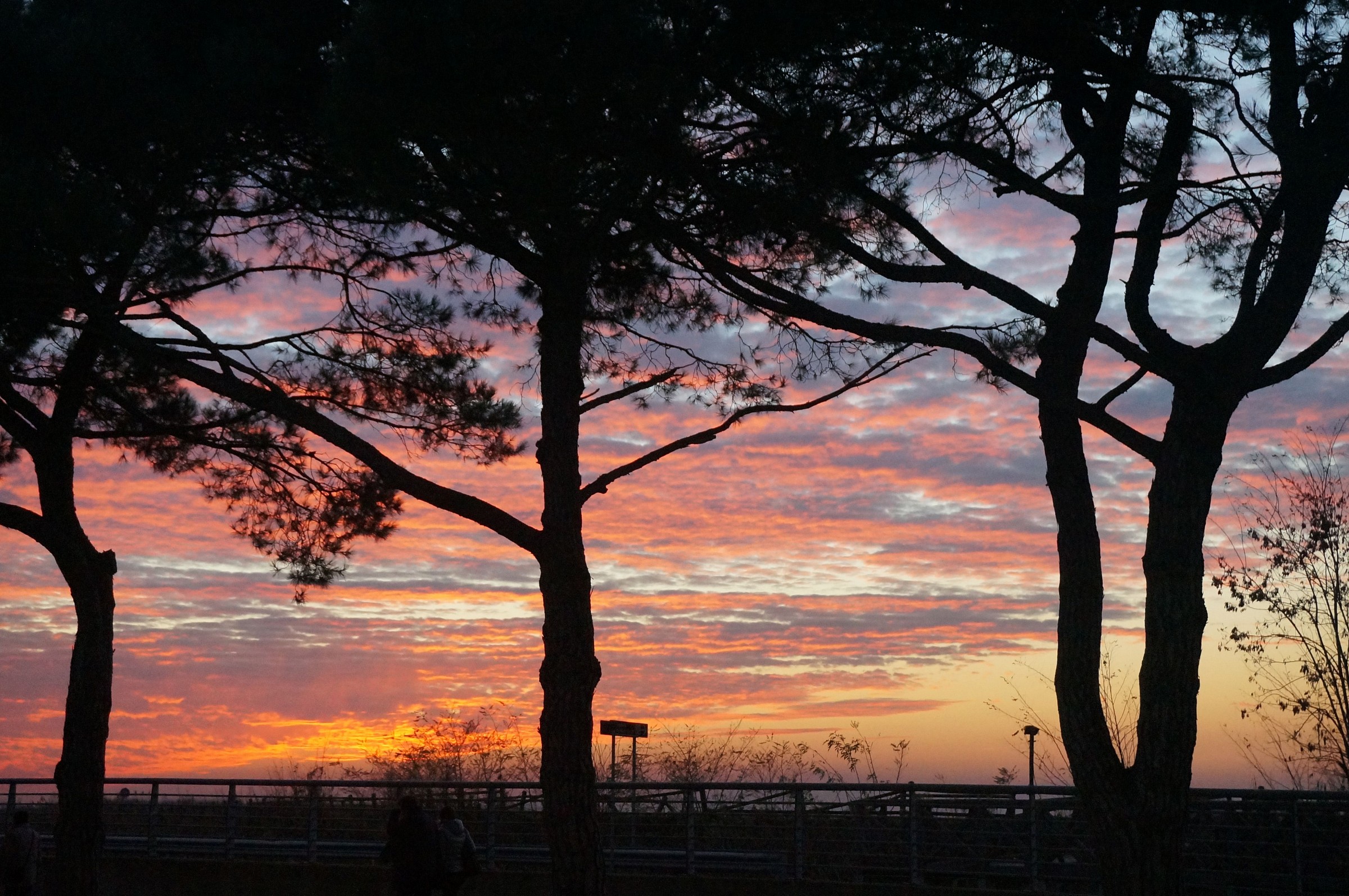 Tramonto a Quarto d'Altino
