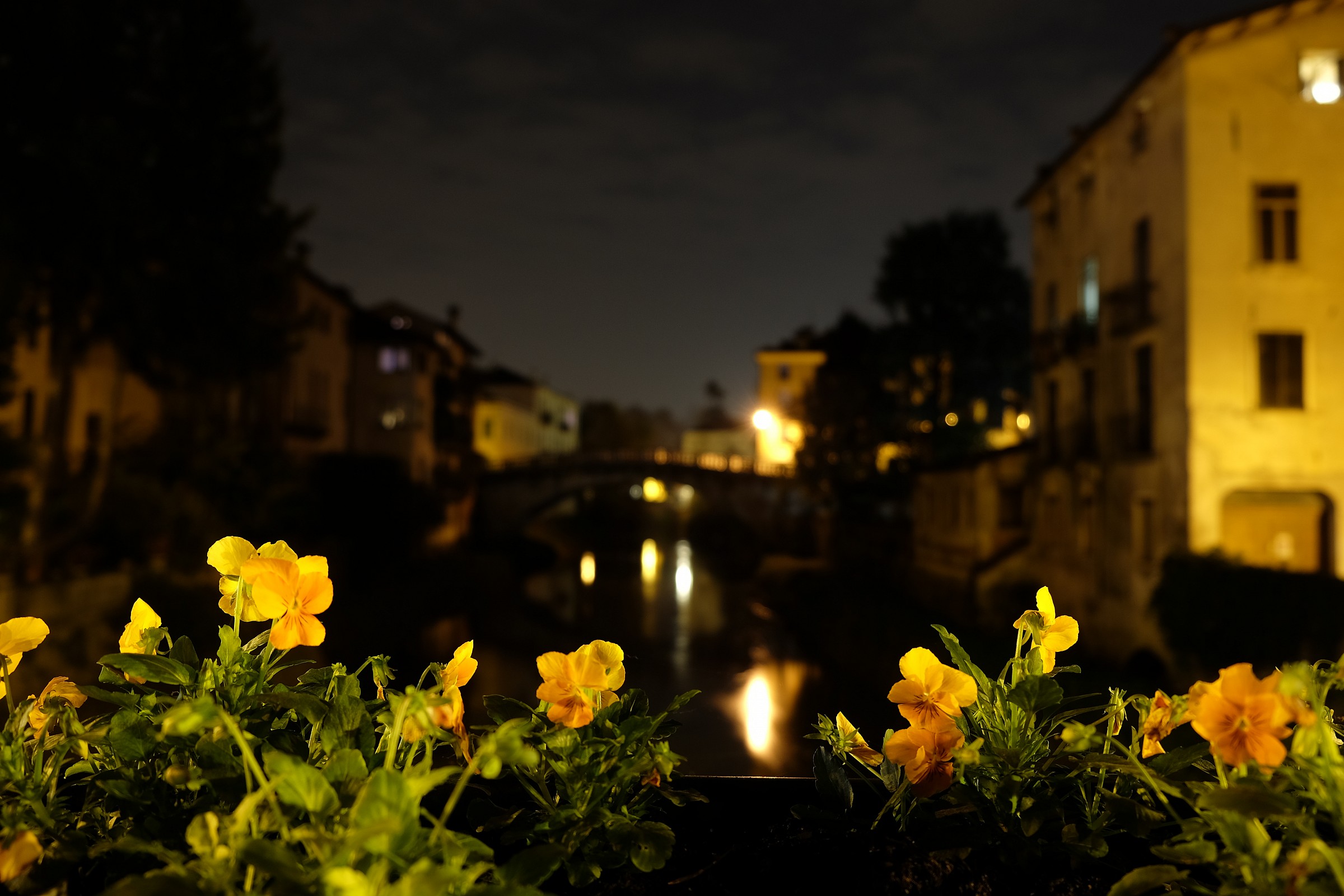 bridge s.michele (Vicenza center)