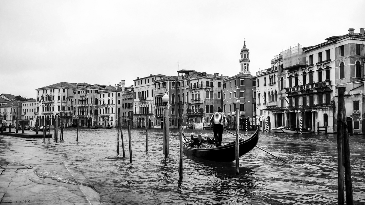 Venezia in umido