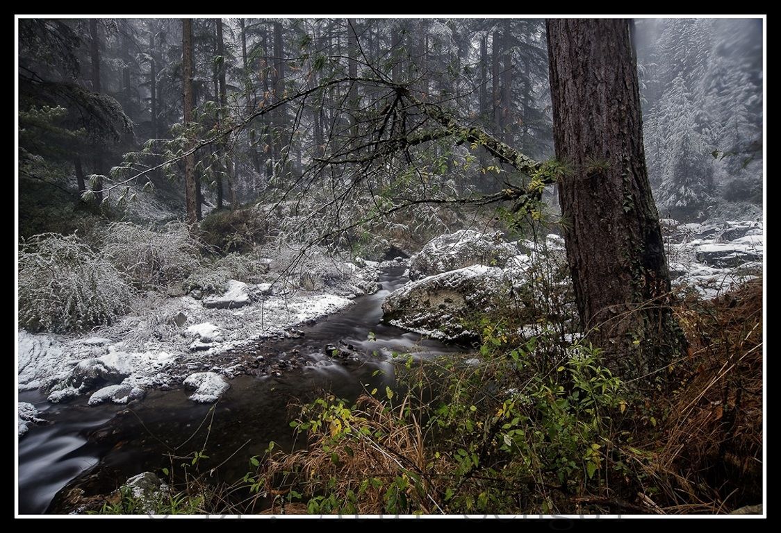 Autunno ruscello durante la nevicata