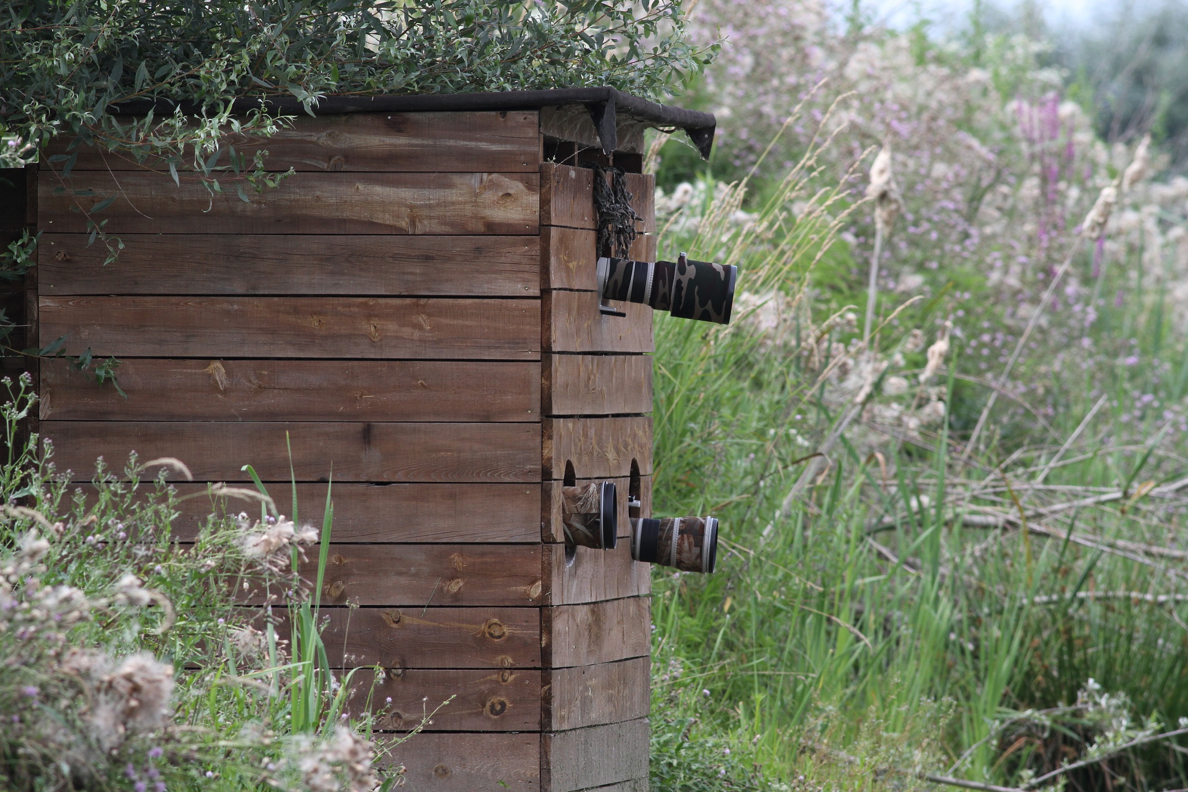 Who has the most fat? :-)