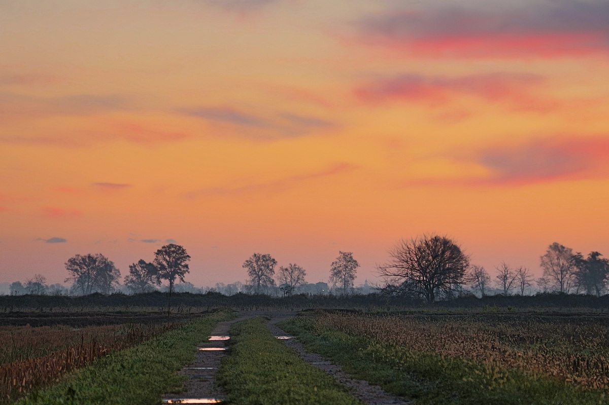 Alba a Bereguardo (pv)