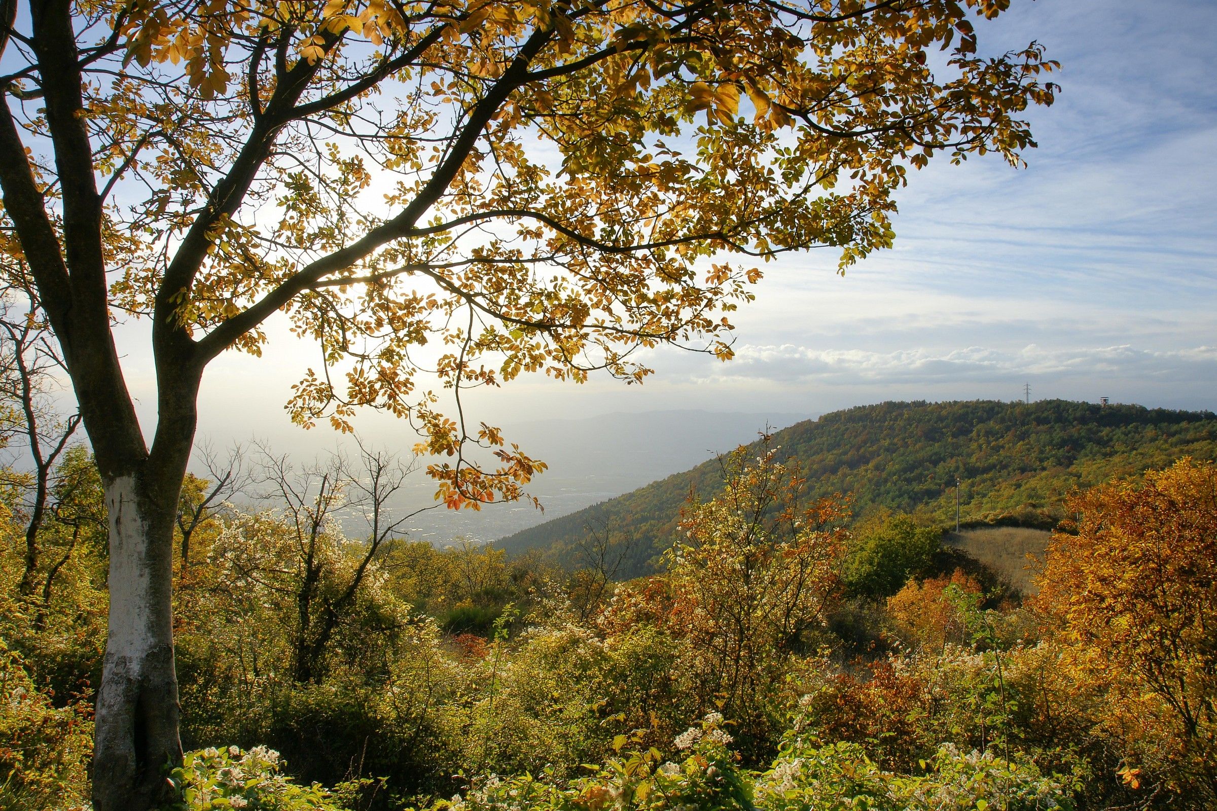 Vista da Montemorello