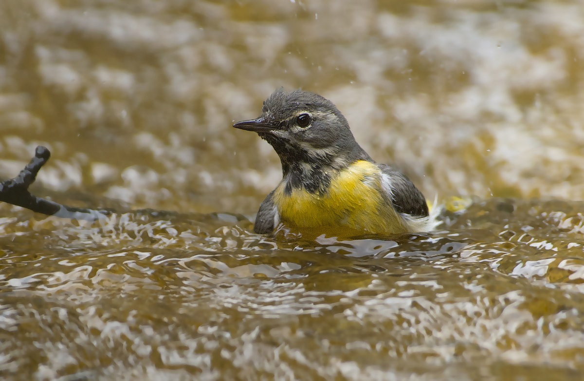 with water in the throat