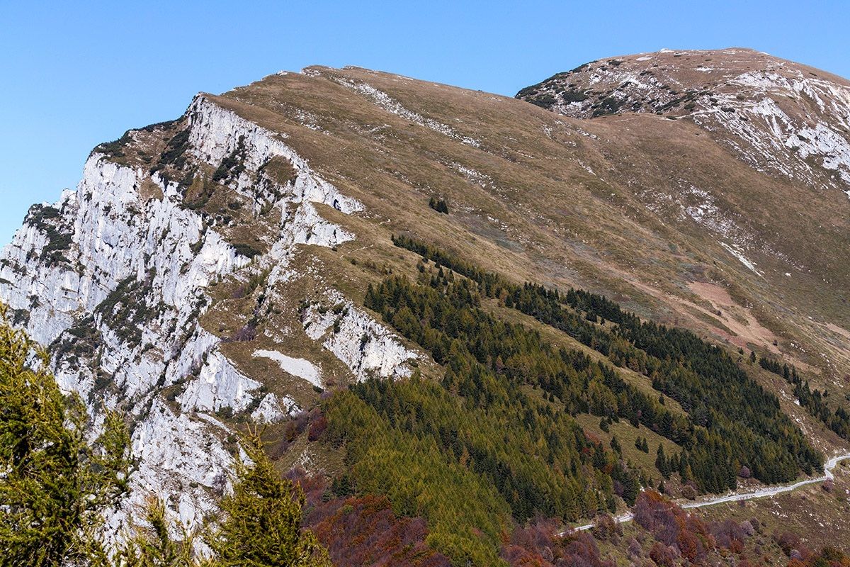 Vista verso l'altissimo..