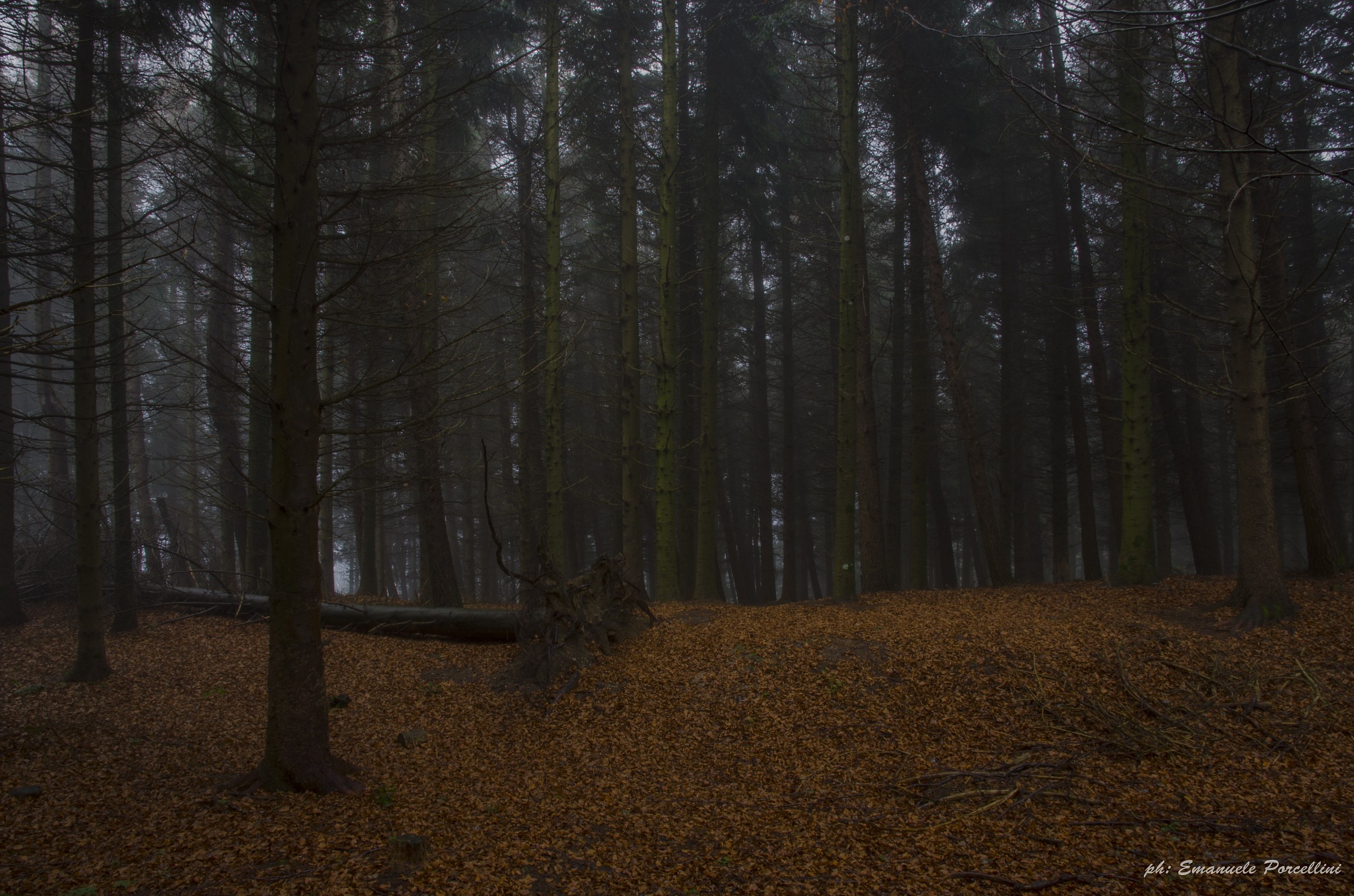 Fall on Mount Tramazzo
