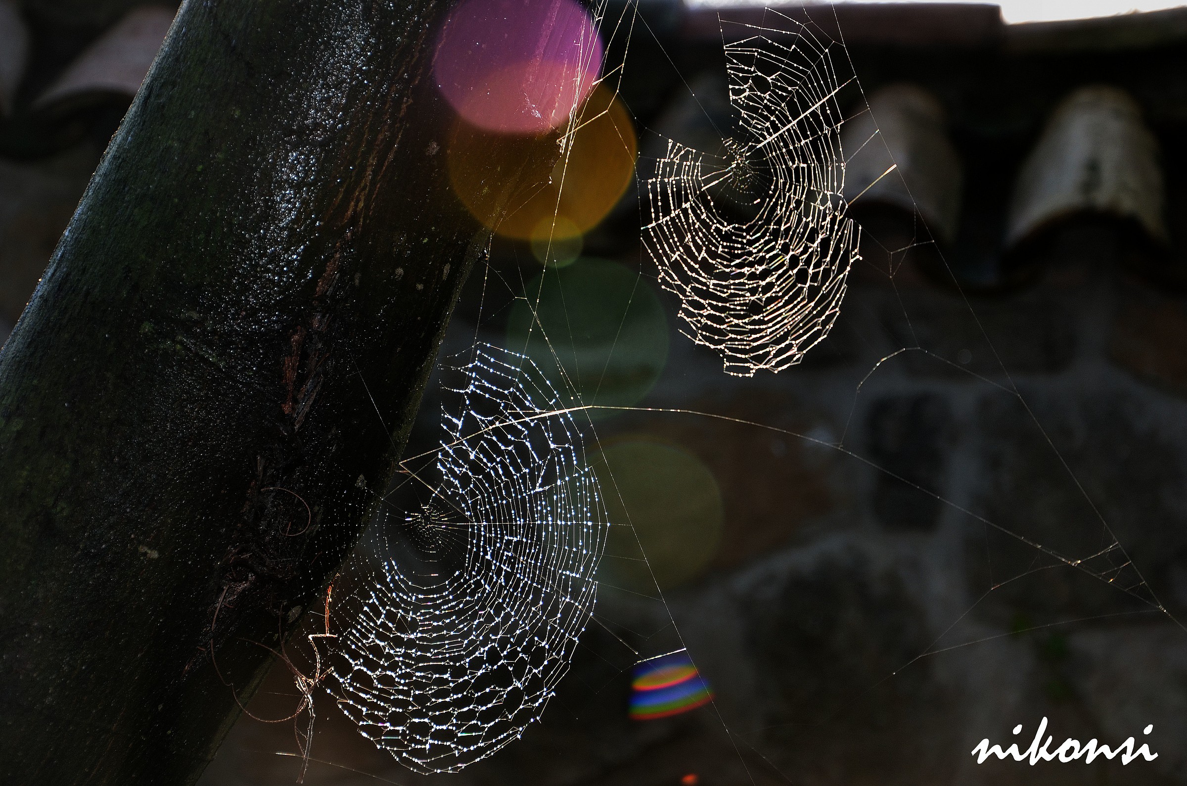 Cobwebs in backlight