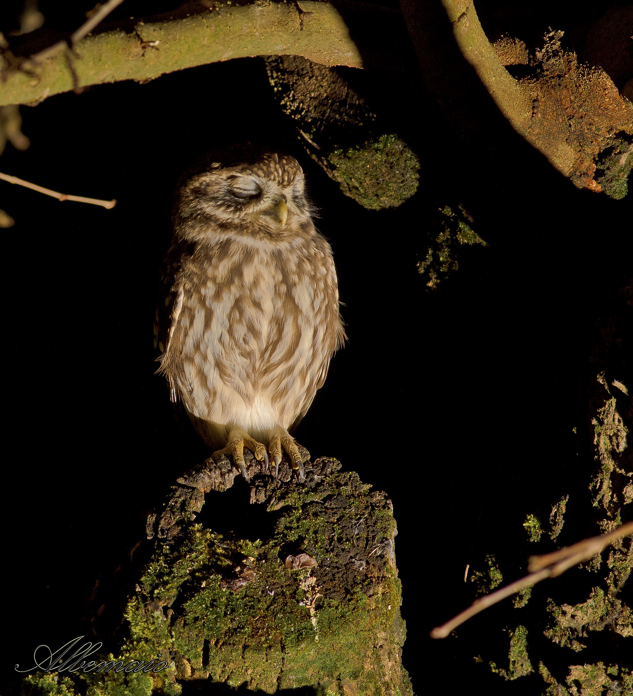 Il Riposino della Civetta