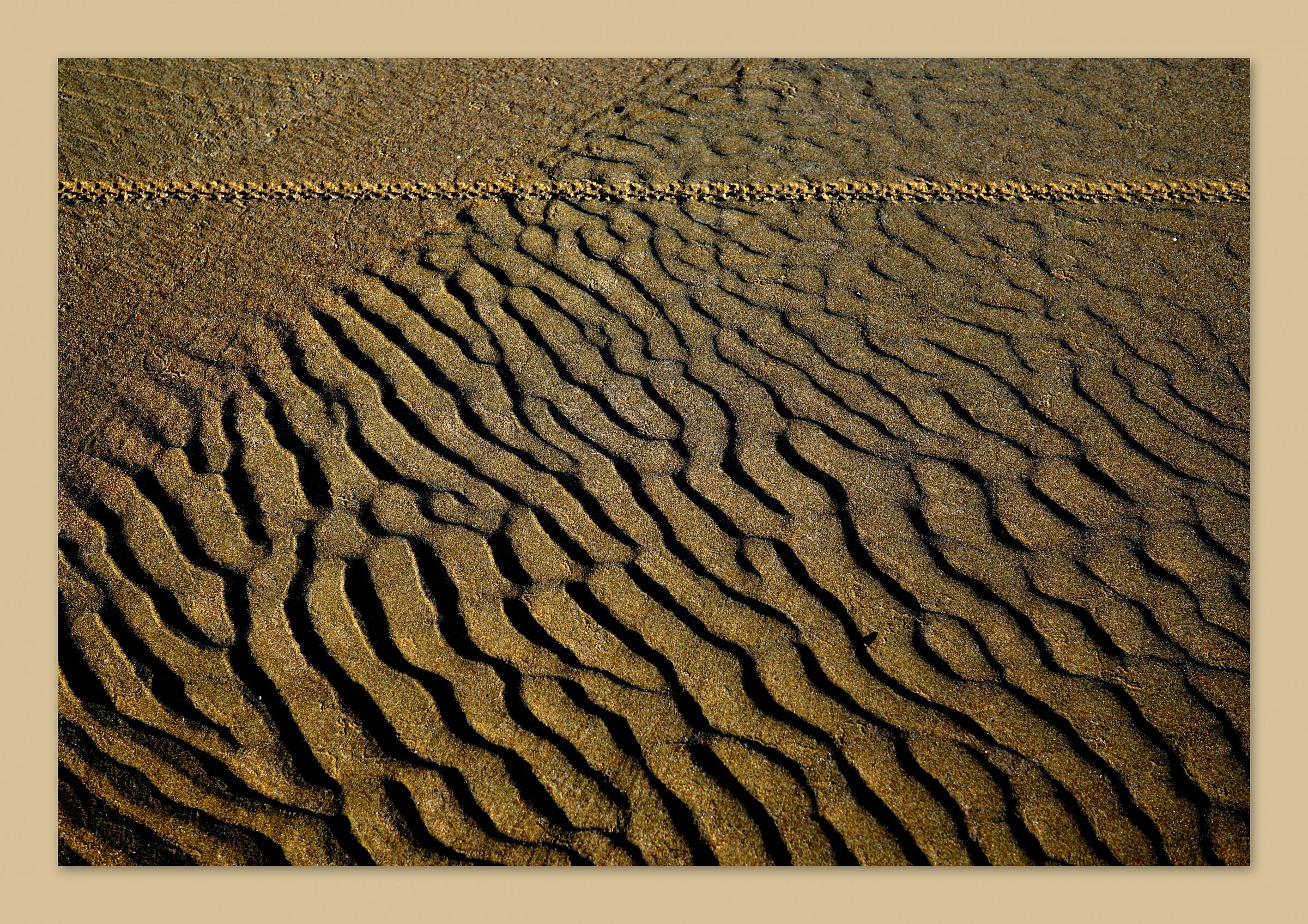 track on artificial track Natural