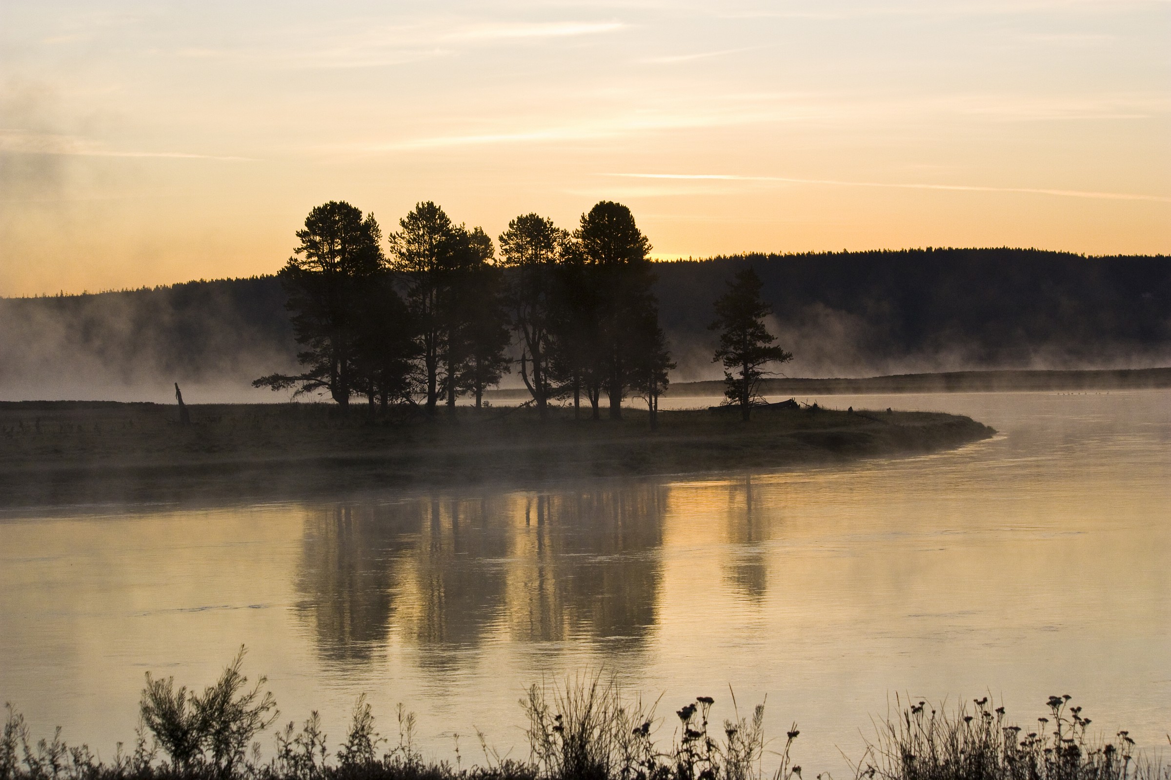 Sunrise at Hayden Valley - Yellowstone National Park