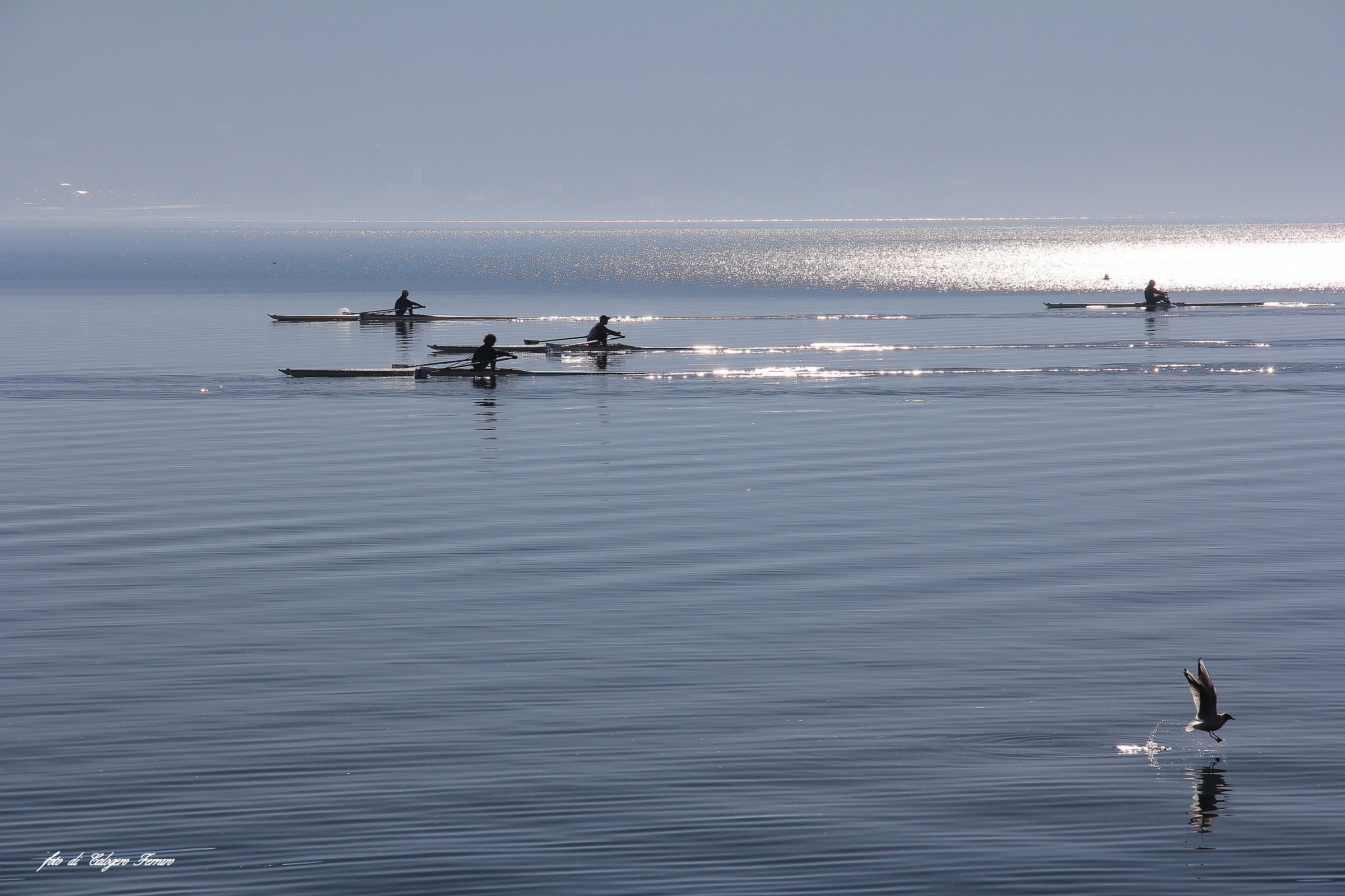 "Rowing on Lake Lovere"