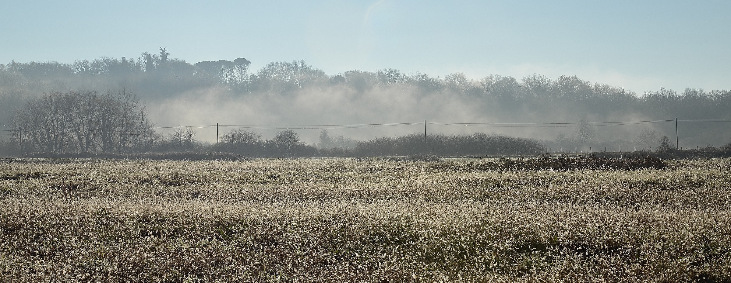 Luccichio del mattino