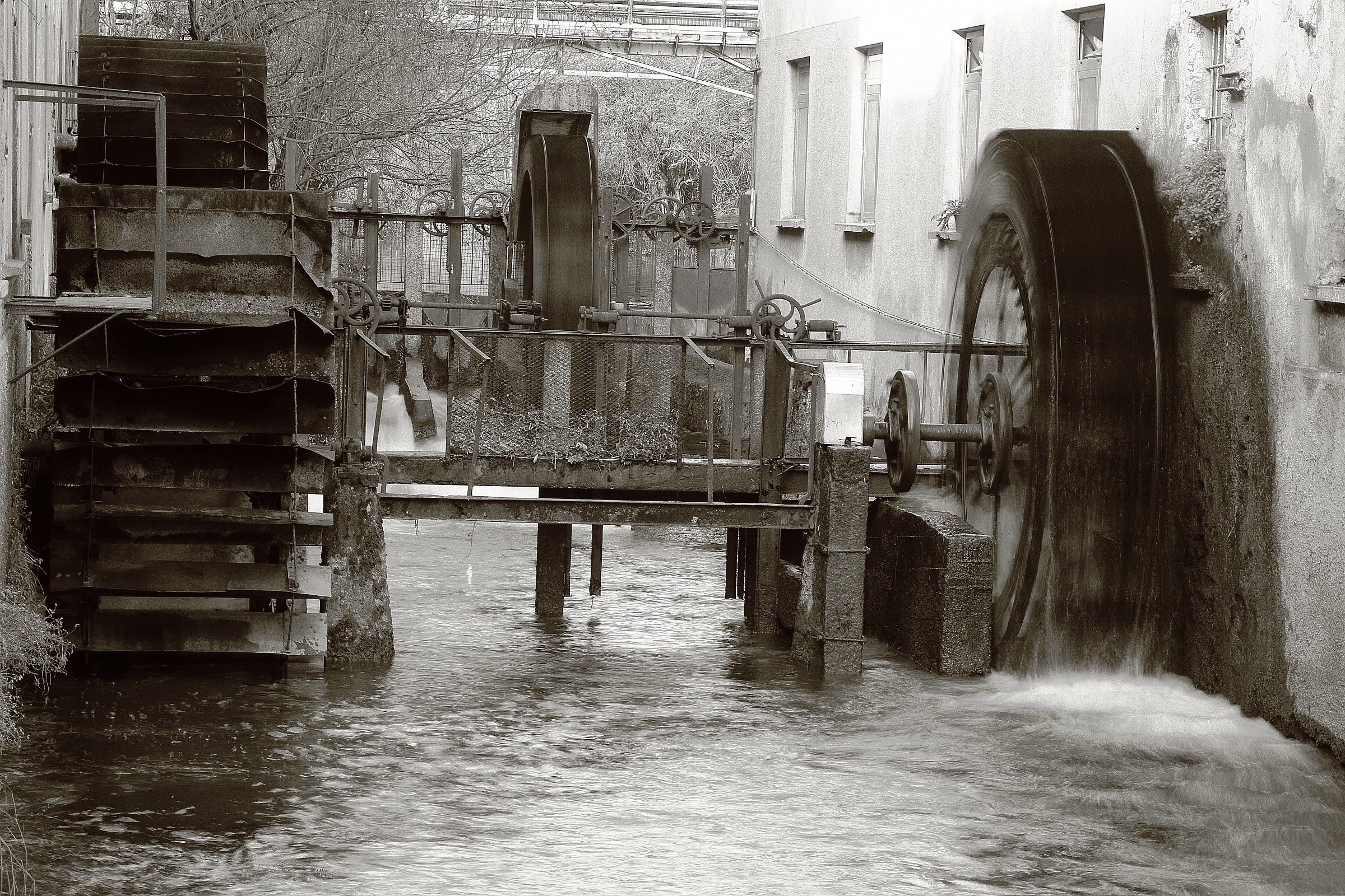 Gira la ruota del tempo.