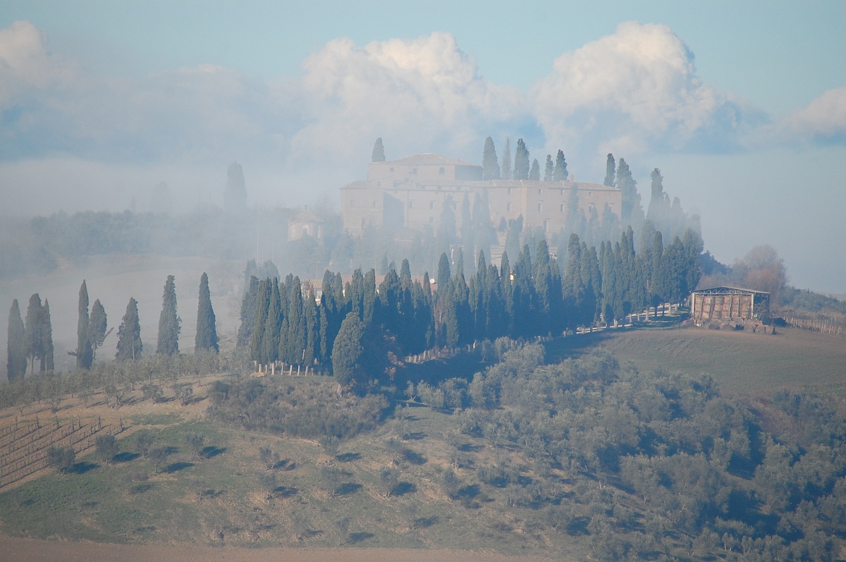The Val d'Orcia, loc. Montalcino