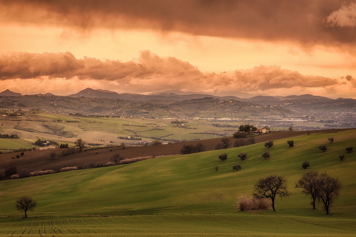 sunset in the countryside