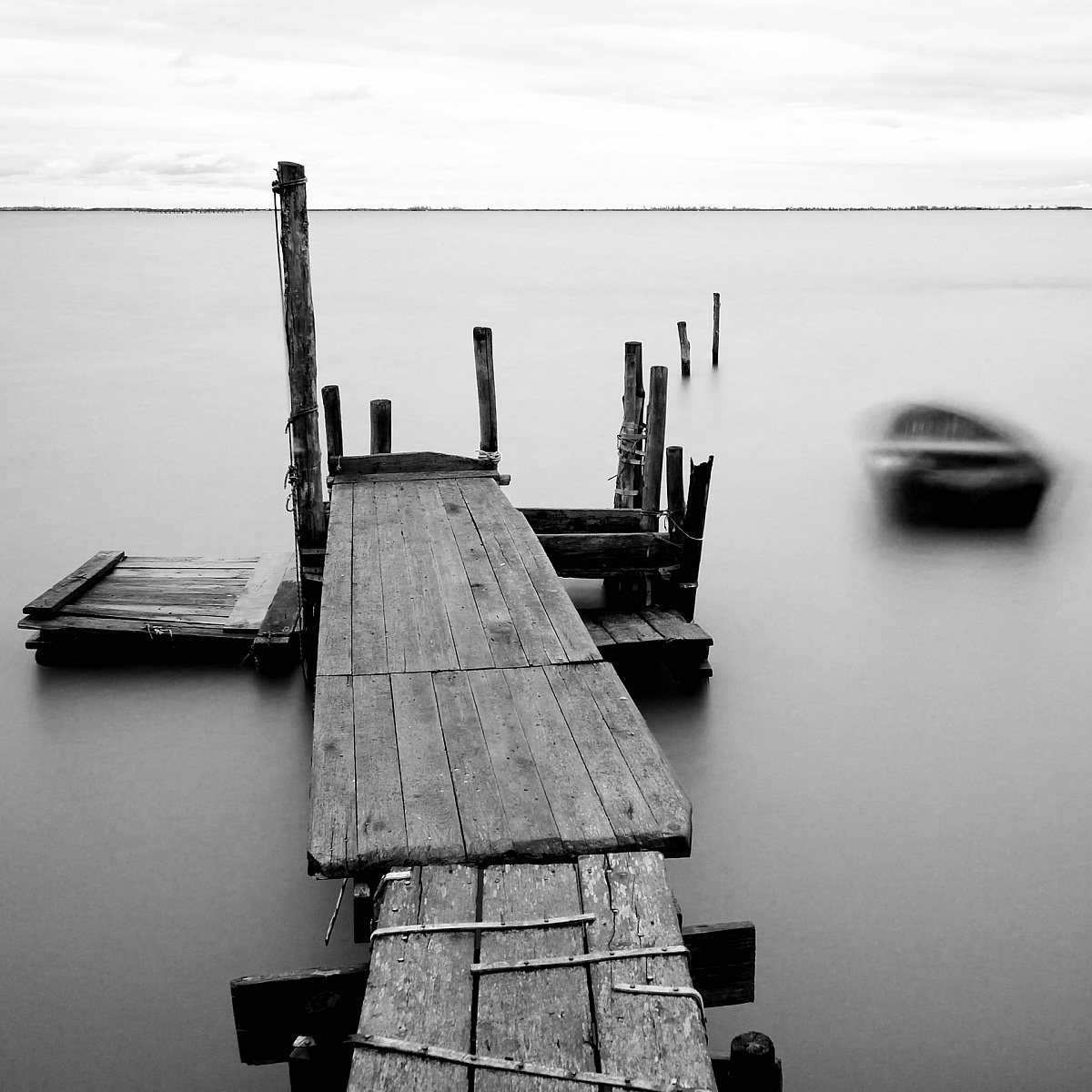 precariousness (biannual)