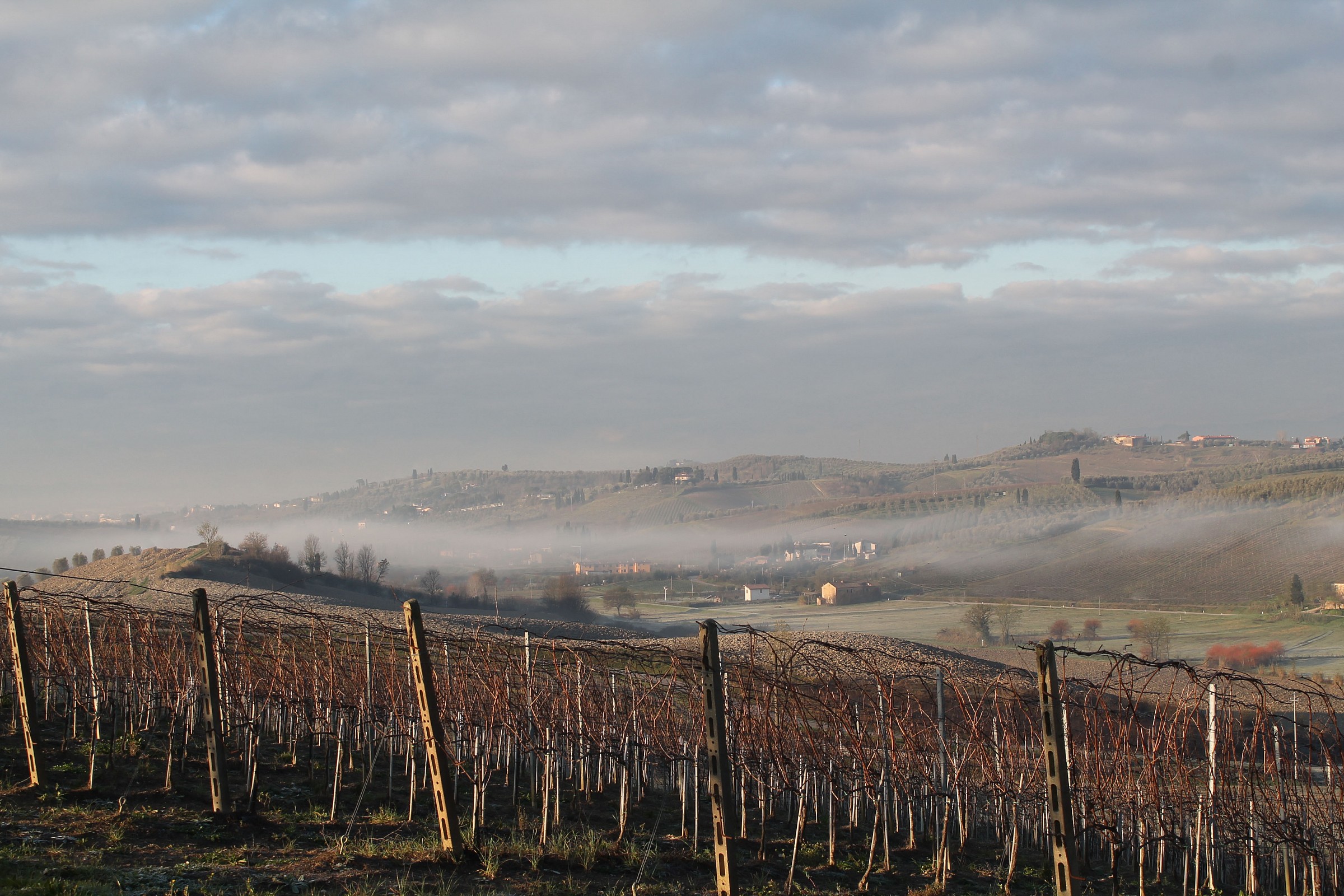 Campagna toscana nella nebbia