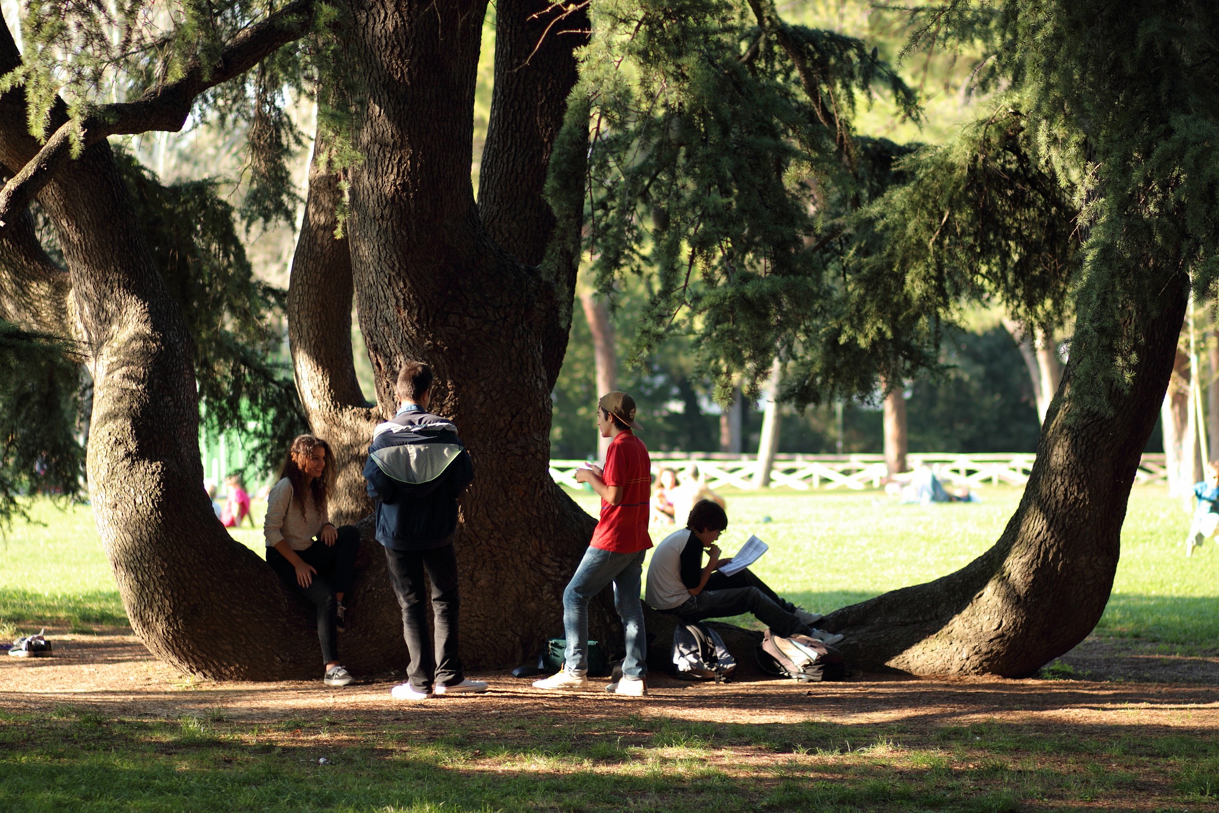 The Giardini Margherita you fall in love, is mathematical