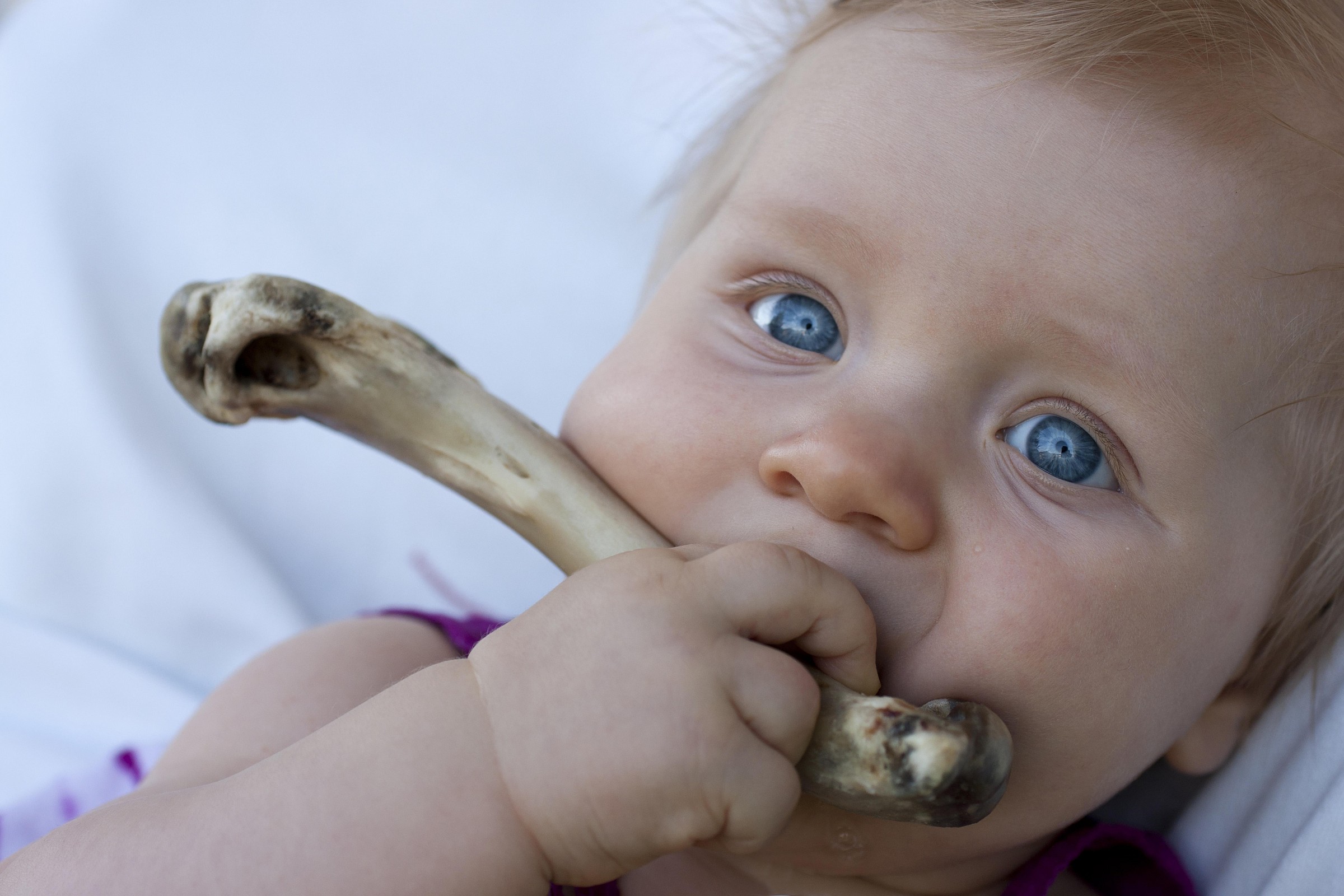 La mia Piccola ha gradito il pranzo !